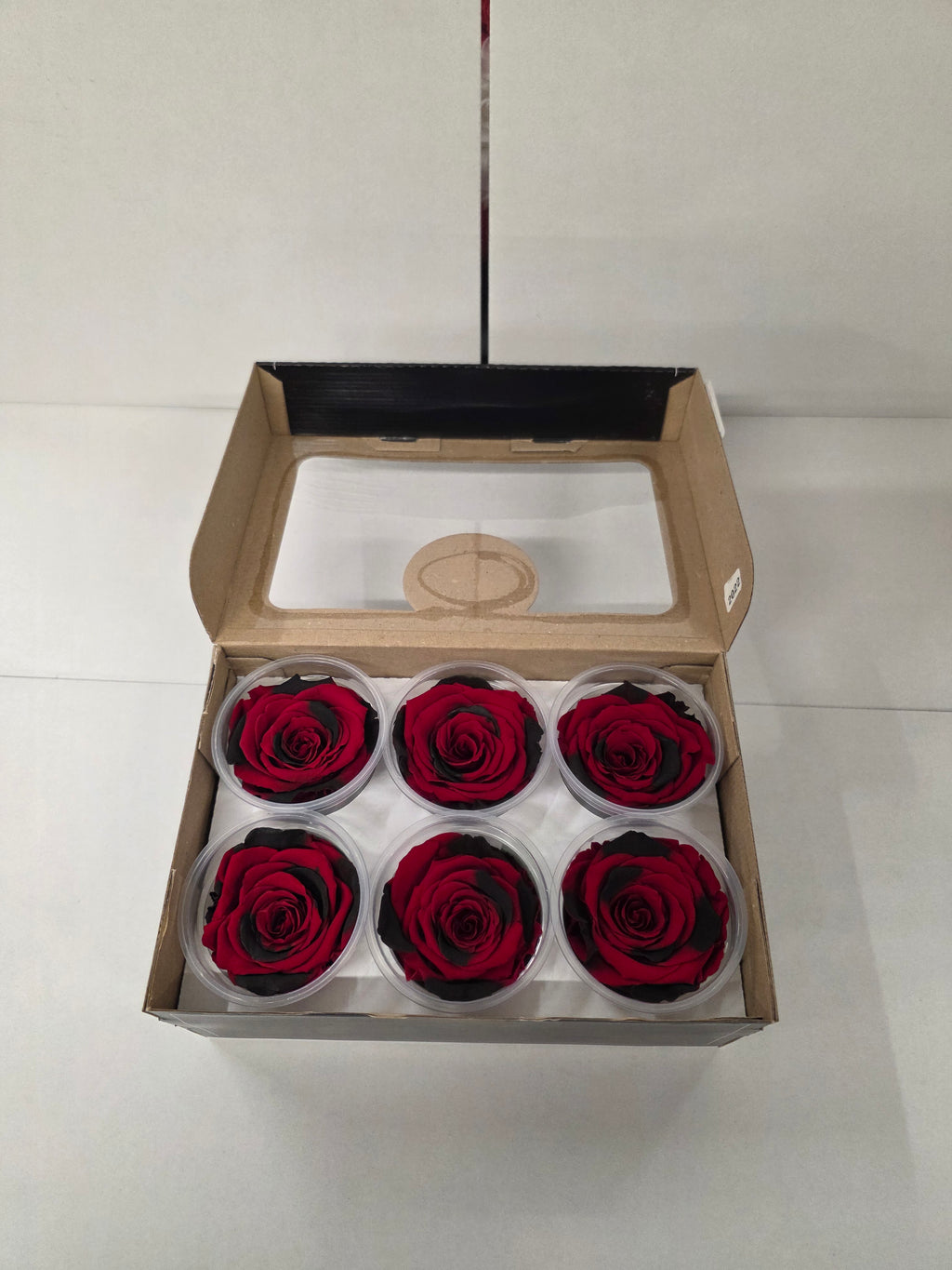 Artificial Preserved Rosa Xl Red Black Fleck 03
