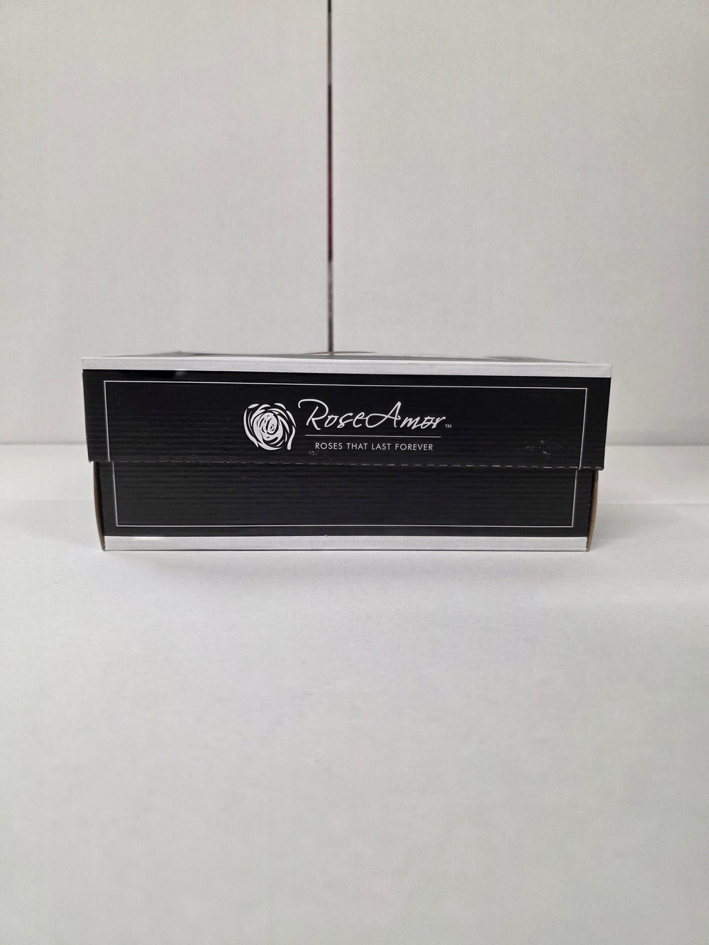 Artificial Preserved Rosa Xl White 01