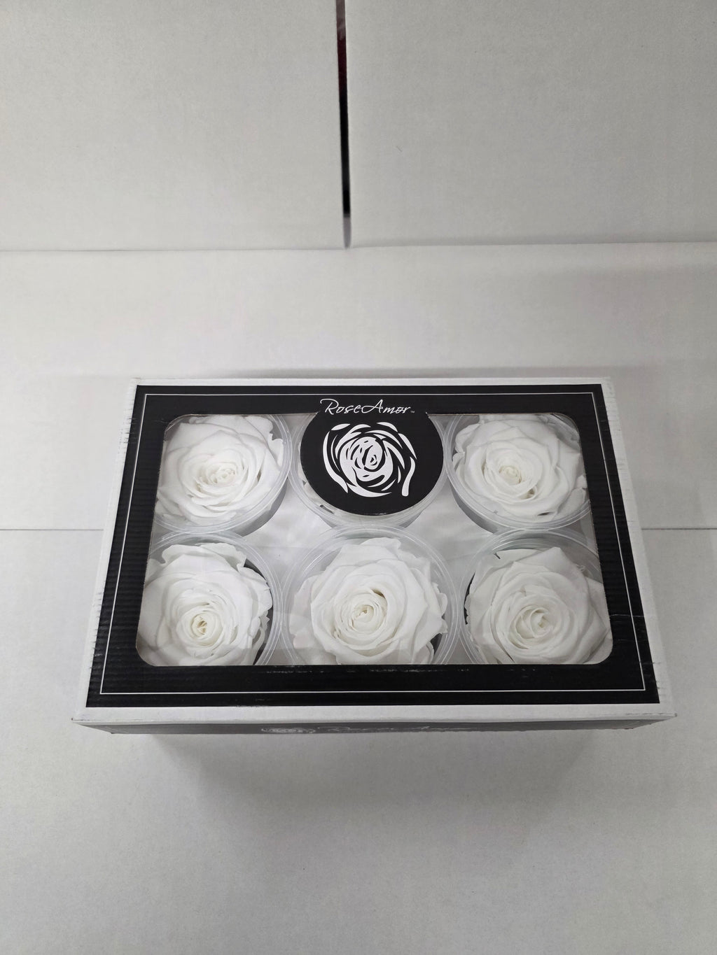Artificial Preserved Rosa Xl White 01