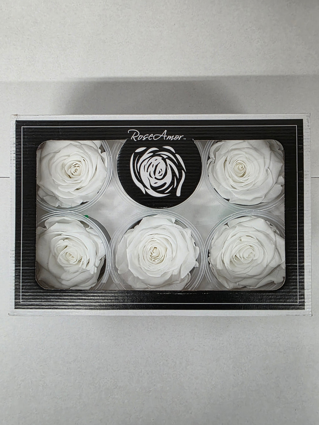 Artificial Preserved Rosa Xl White 01