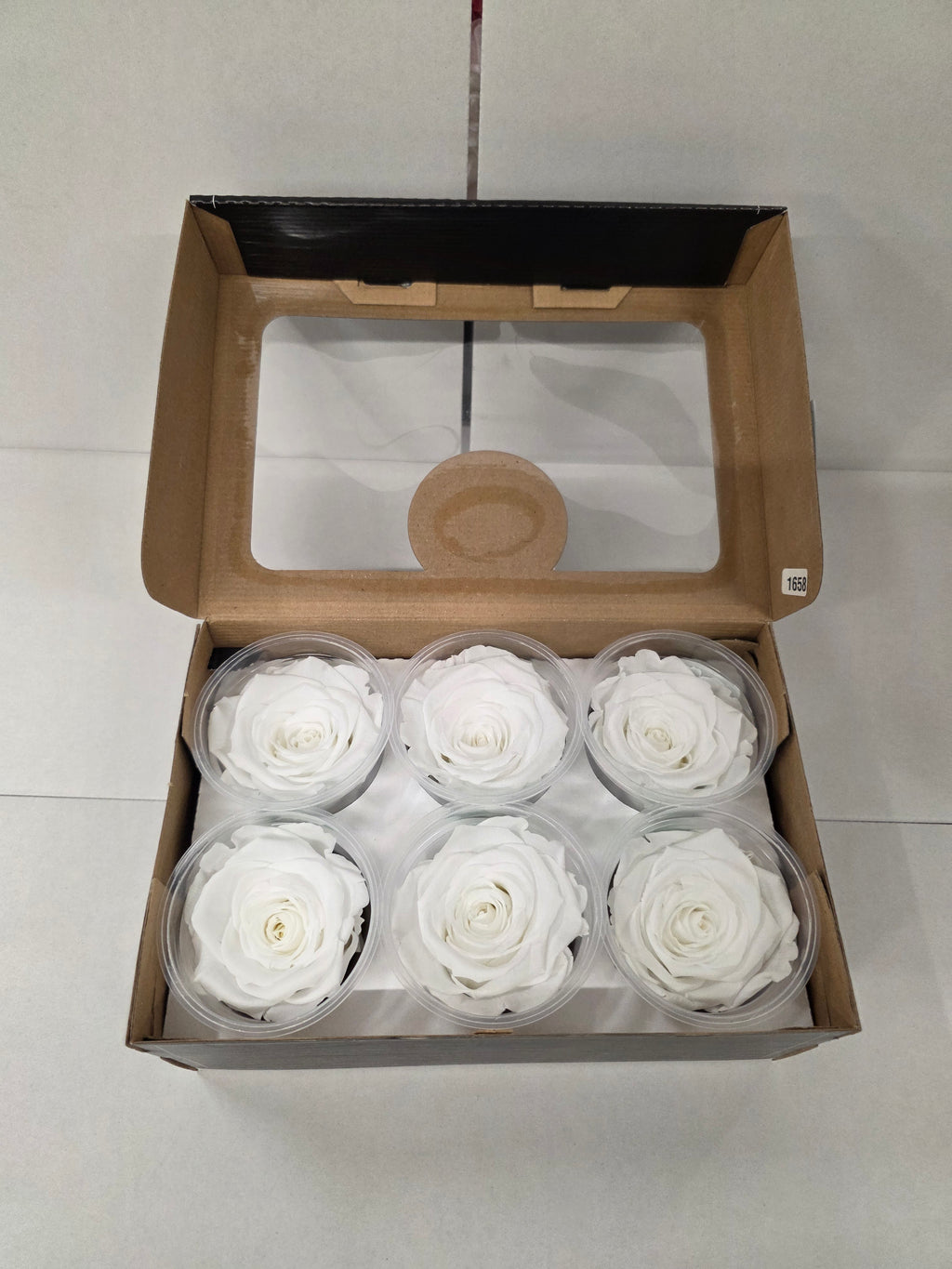 Artificial Preserved Rosa Xl White 01
