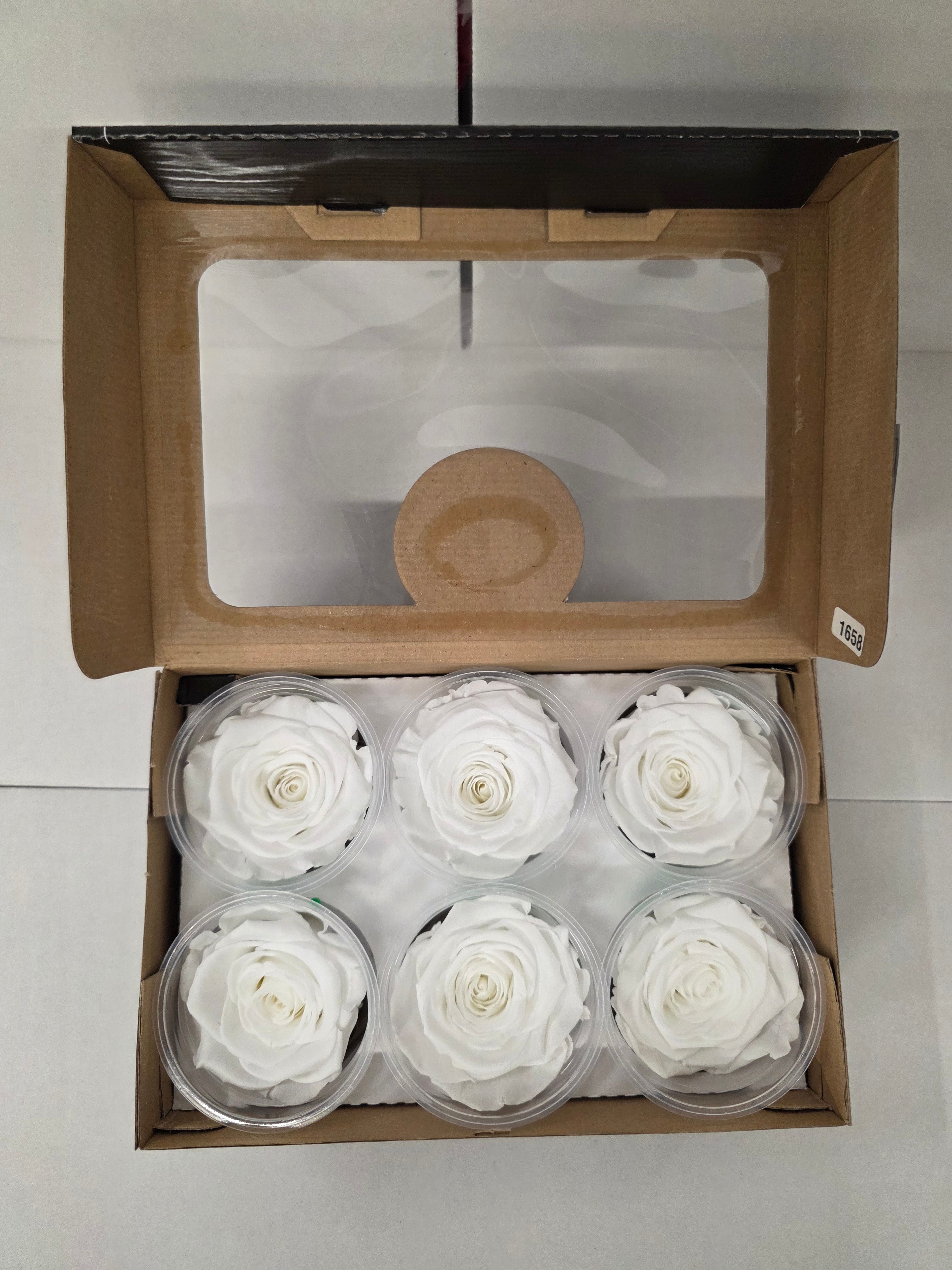 Artificial Preserved Rosa Xl White 01