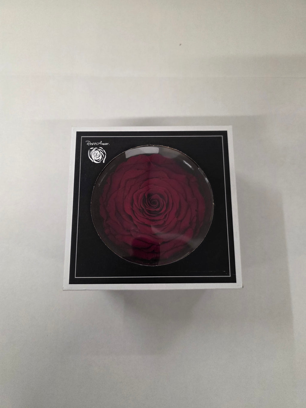 Artificial Preserved Rosa Xxl Red 01