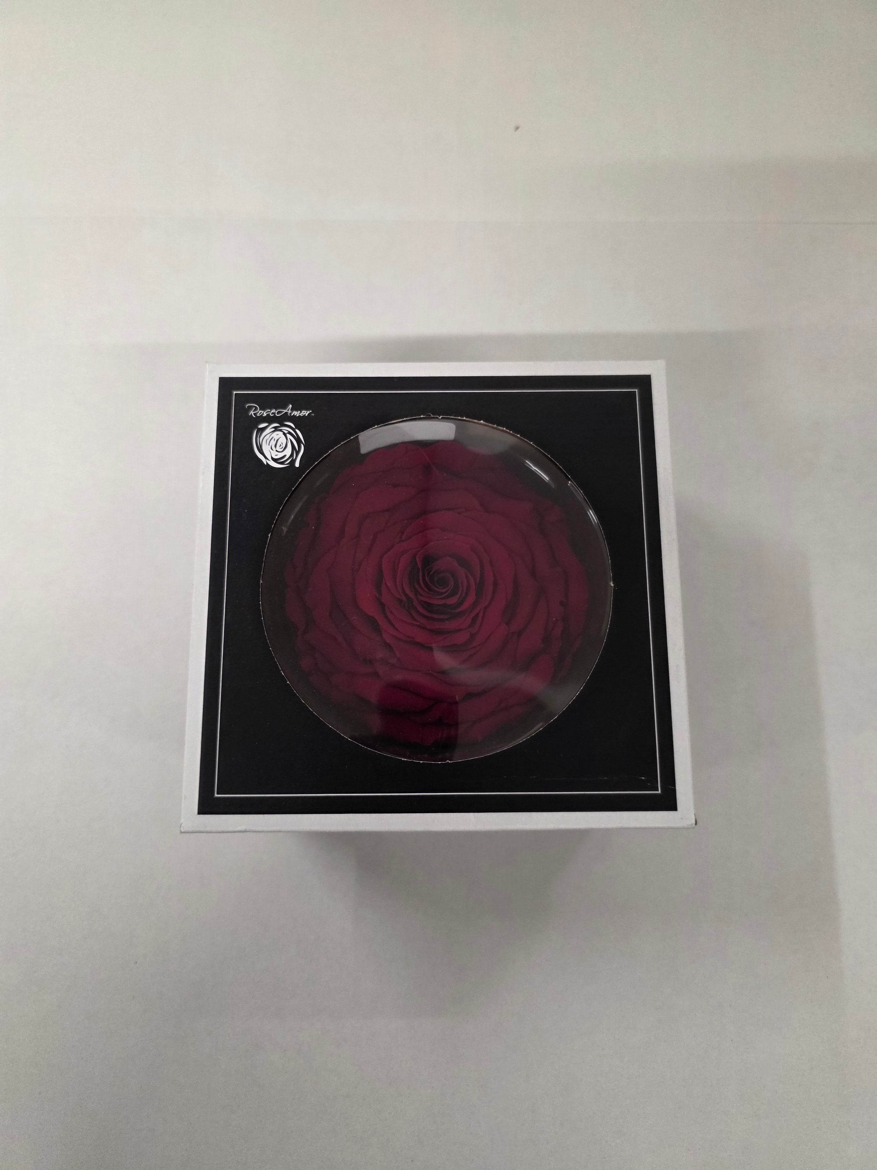 Artificial Preserved Rosa Xxl Red 01