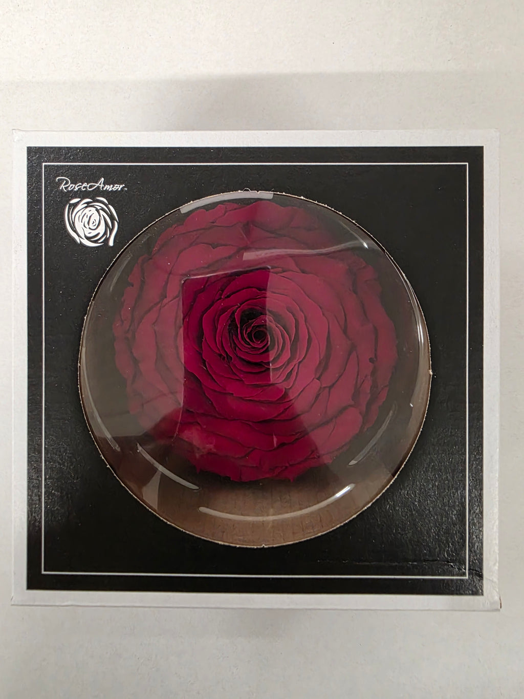 Artificial Preserved Rosa Xxl Red 01