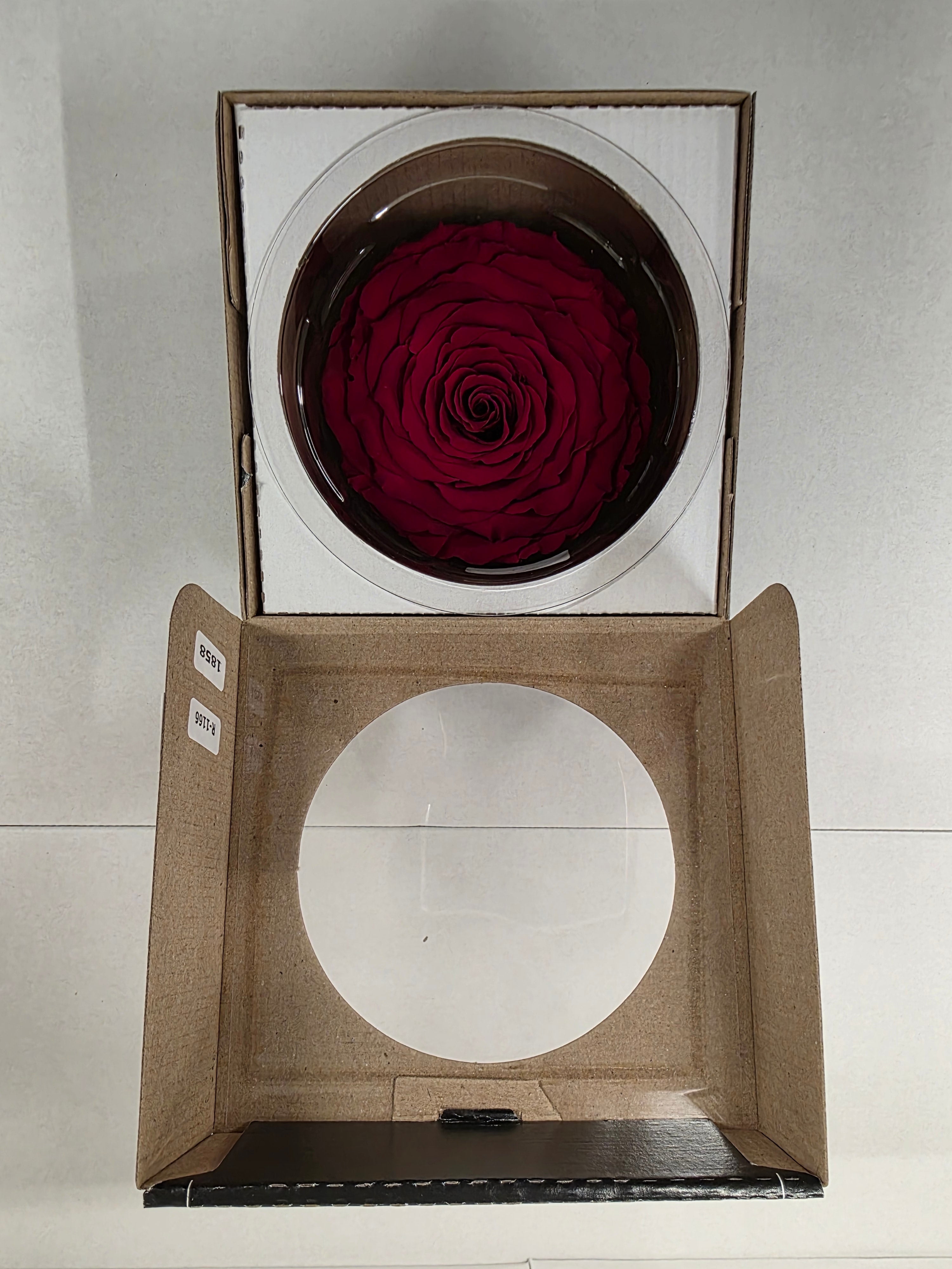 Artificial Preserved Rosa Xxl Red 01