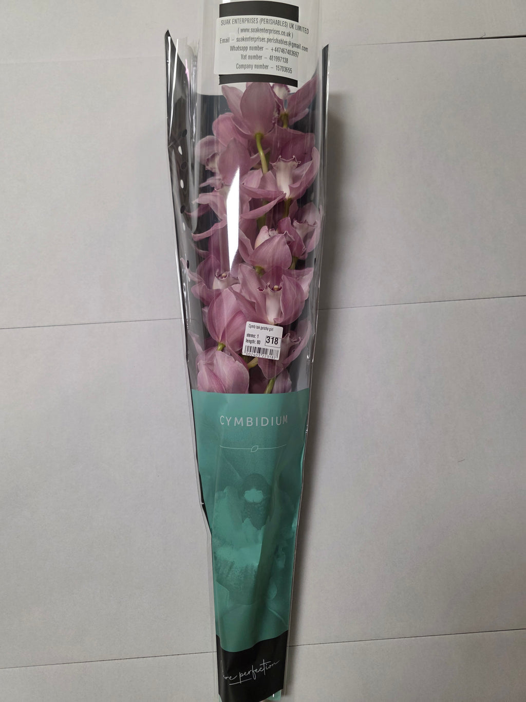 Farm Fresh Orchid/Cymbidium Tak Geisha Girl (Bunch of 1 stems, Length 80cm)