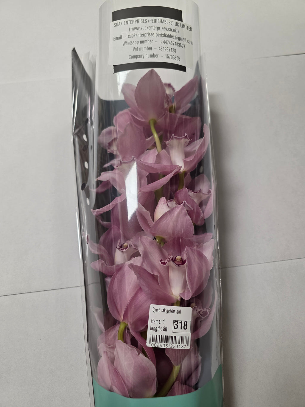 Farm Fresh Orchid/Cymbidium Tak Geisha Girl (Bunch of 1 stems, Length 80cm)