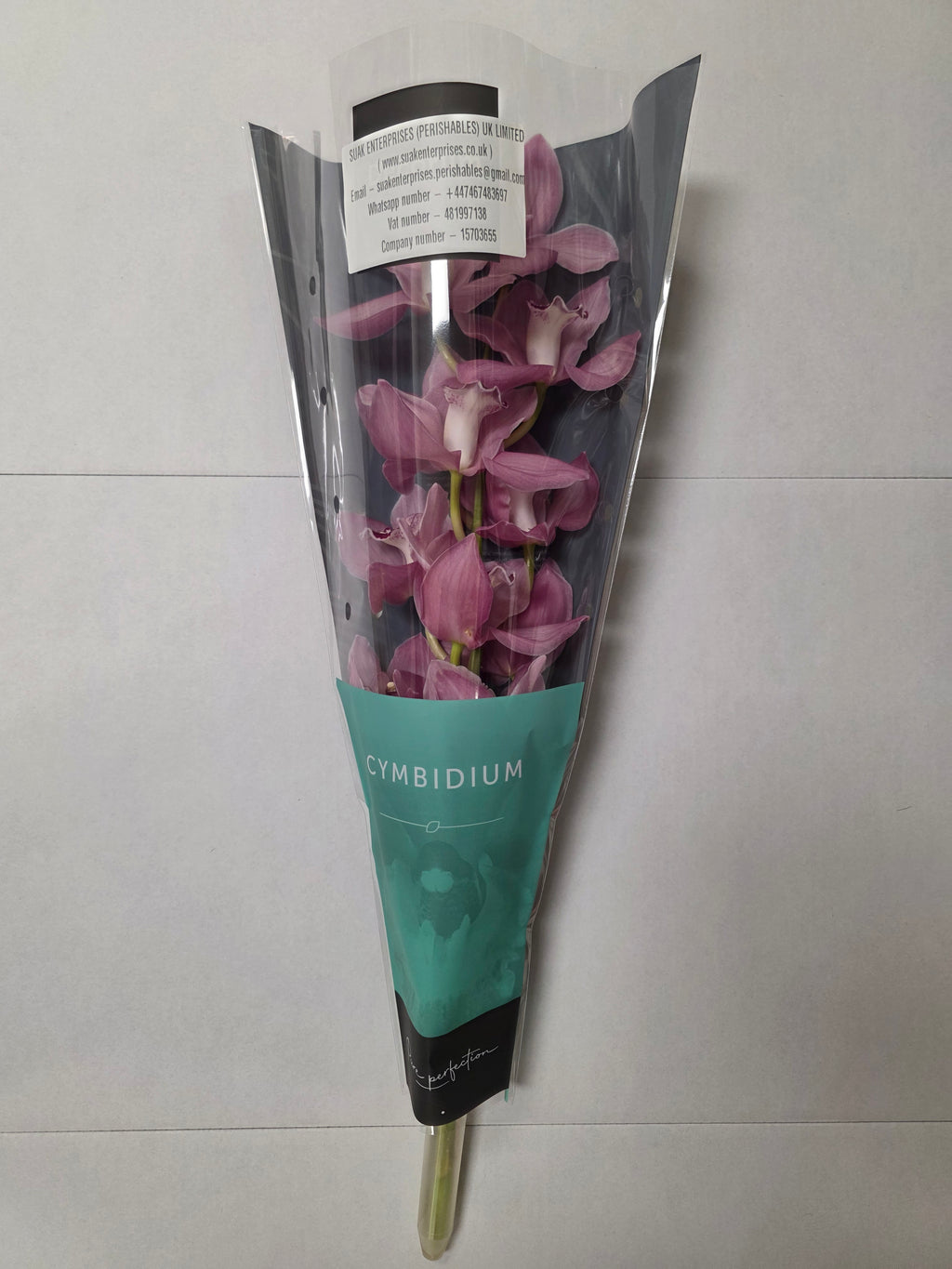 Farm Fresh Orchid/Cymbidium Tak Geisha Girl (Bunch of 1 stems, Length 60cm)