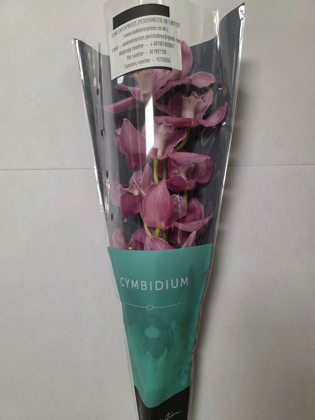 Farm Fresh Orchid/Cymbidium Tak Geisha Girl (Bunch of 1 stems, Length 60cm)