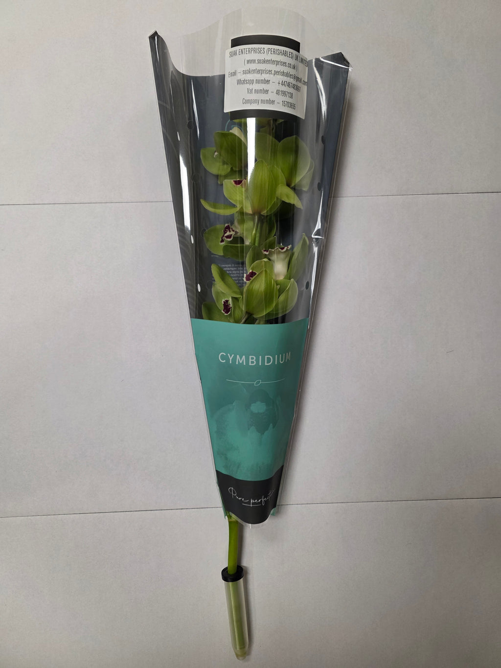 Farm Fresh Orchid/Cymbidium Tak Machteld (Bunch of 1 stems, Length 60cm)
