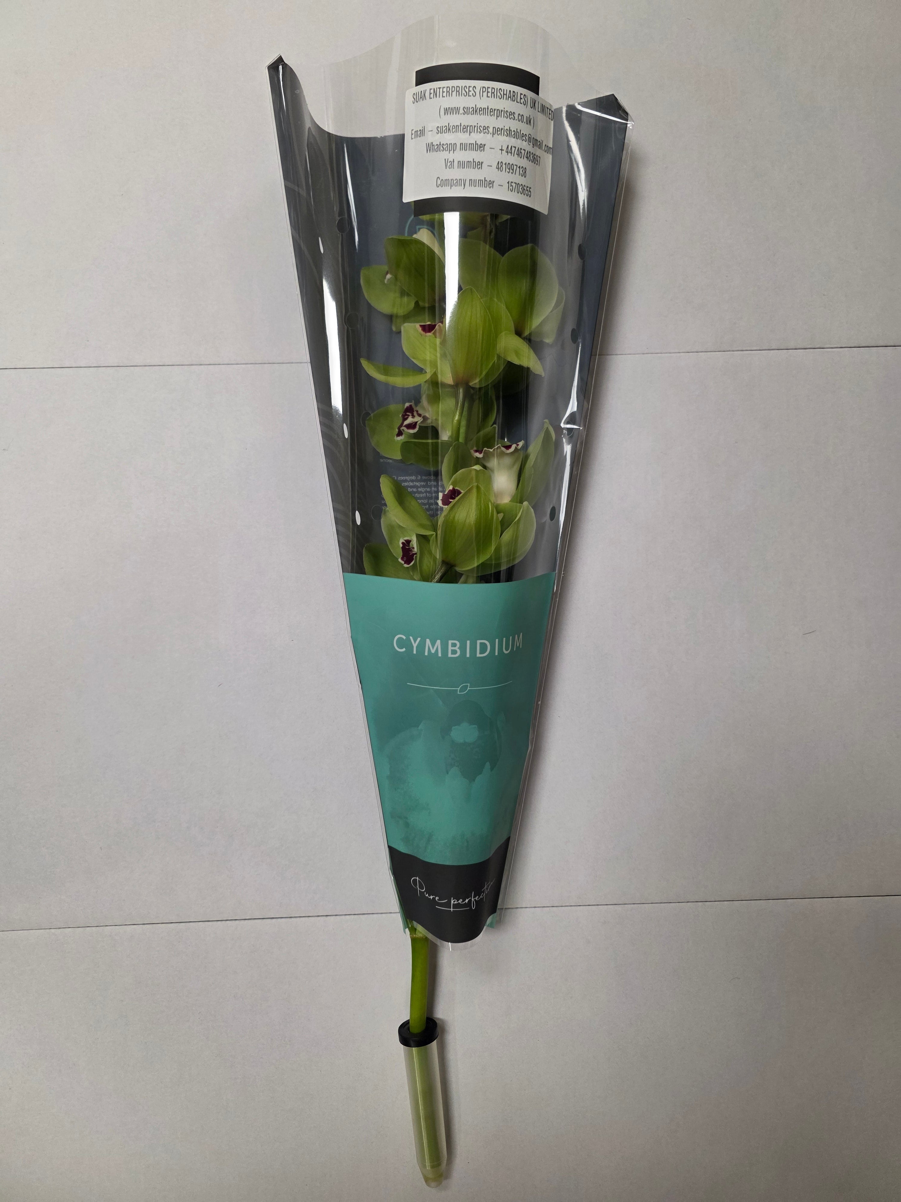 Farm Fresh Orchid/Cymbidium Tak Machteld (Bunch of 1 stems, Length 60cm)