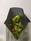 Farm Fresh Orchid/Cymbidium Tak Machteld (Bunch of 1 stems, Length 60cm)