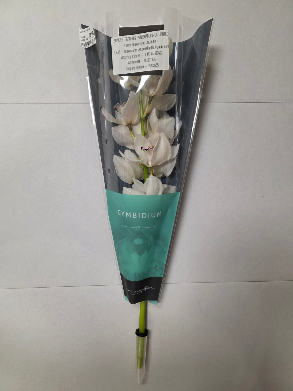 Farm Fresh Orchid/Cymbidium Tak Mazurka (Bunch of 1 stems, Length 60cm)