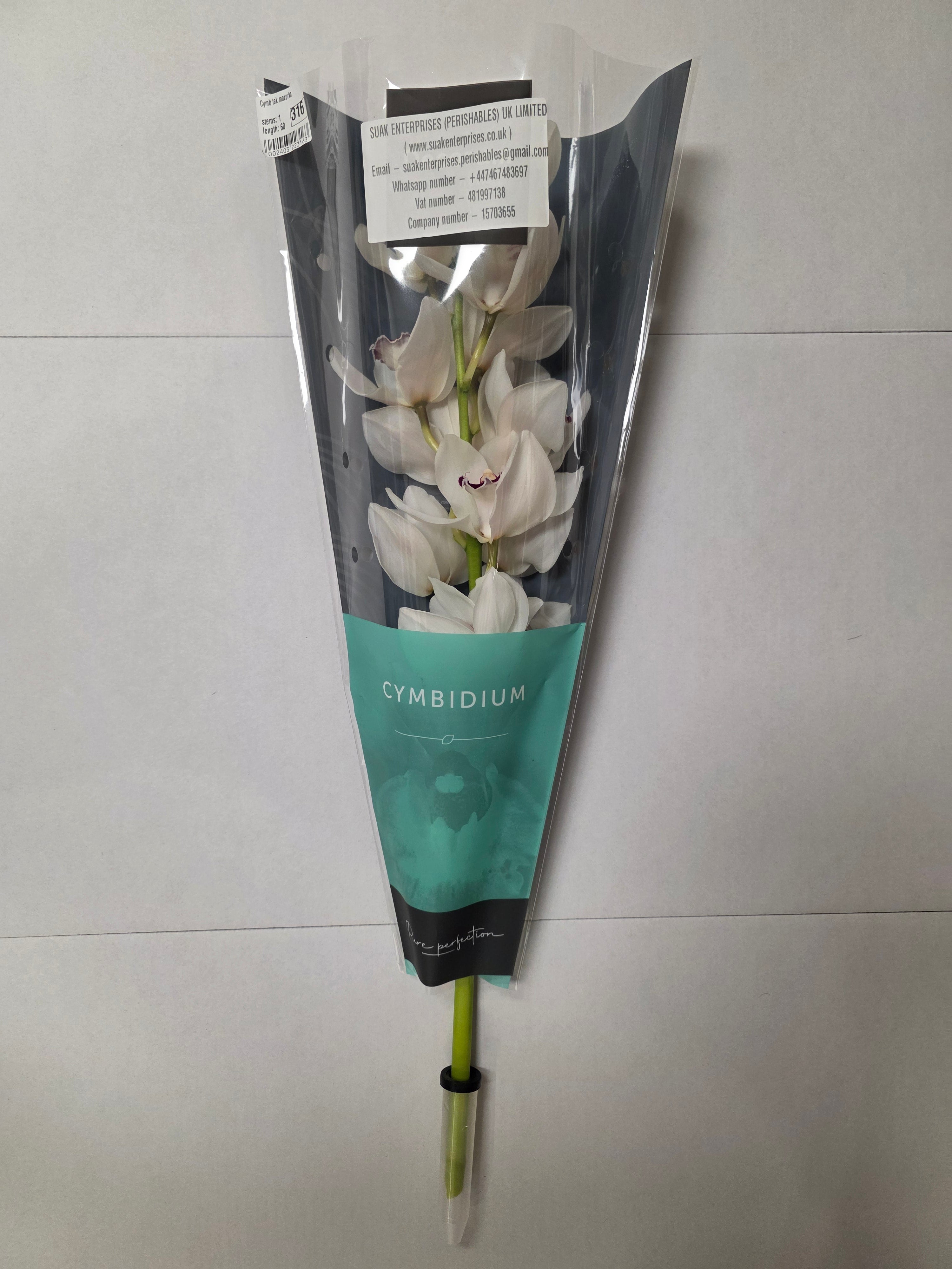 Farm Fresh Orchid/Cymbidium Tak Mazurka (Bunch of 1 stems, Length 60cm)