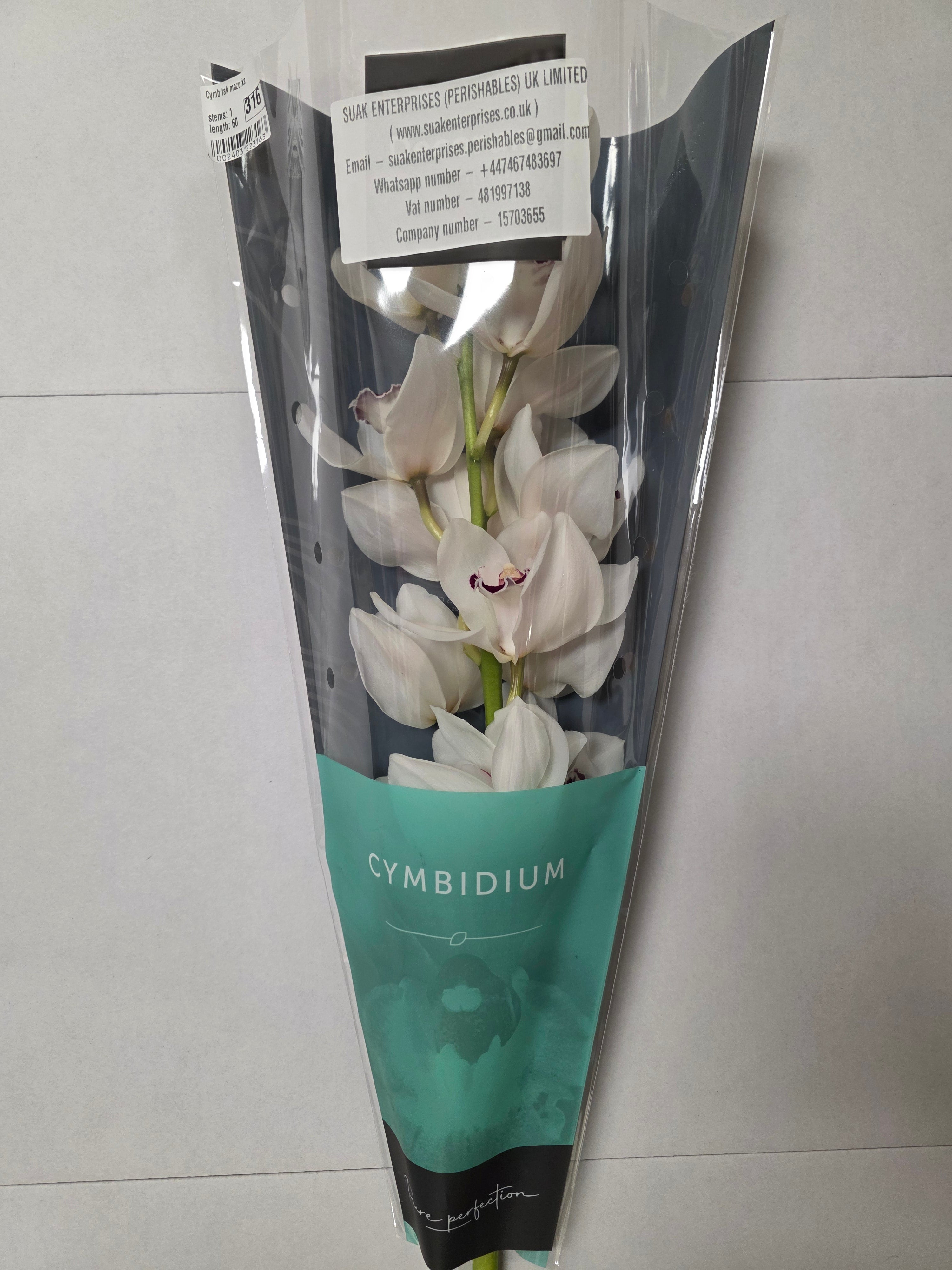 Farm Fresh Orchid/Cymbidium Tak Mazurka (Bunch of 1 stems, Length 60cm)