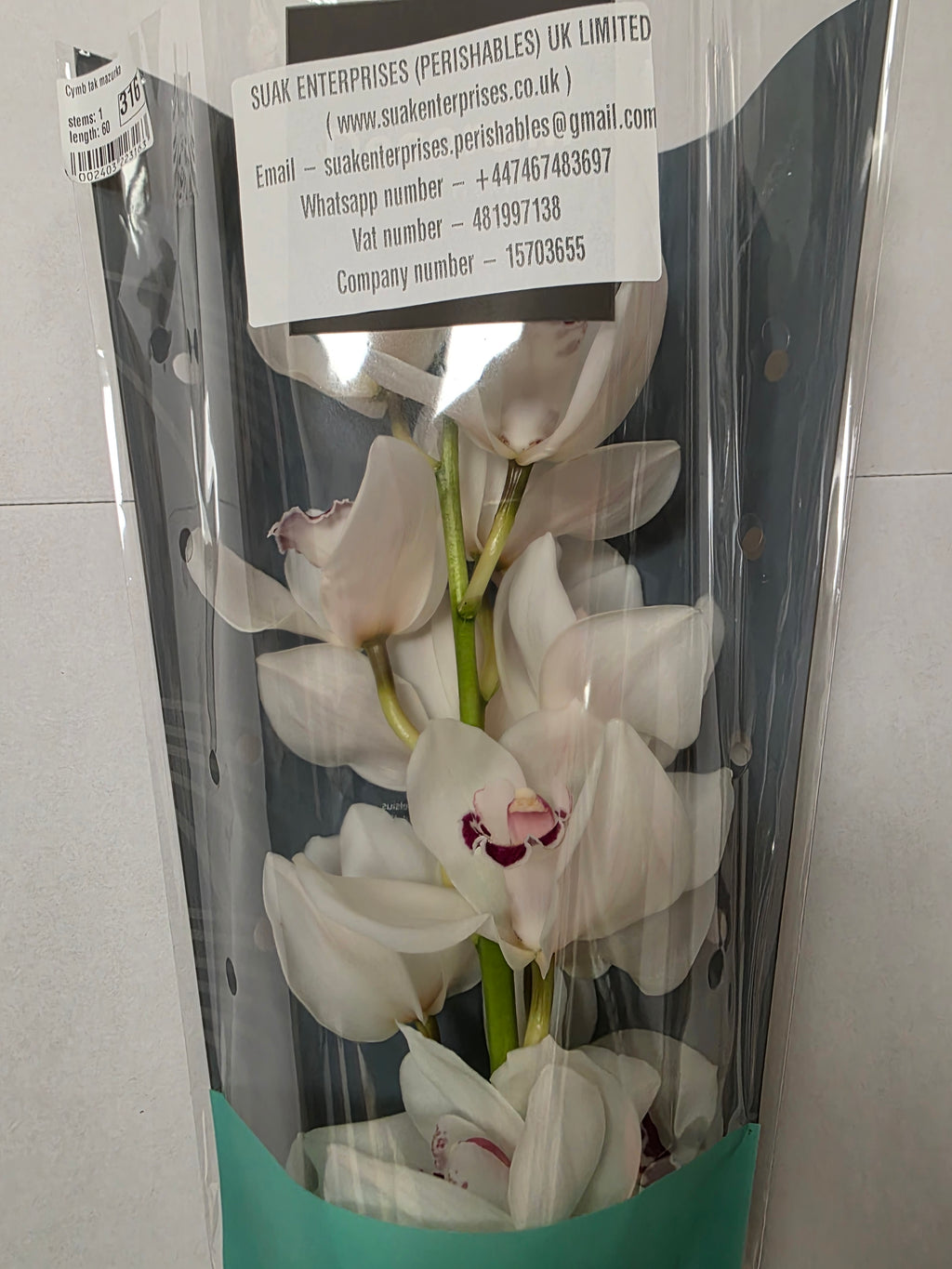 Farm Fresh Orchid/Cymbidium Tak Mazurka (Bunch of 1 stems, Length 60cm)