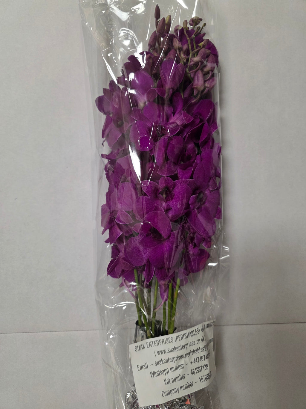 Farm Fresh Orchid Dendrobium Cersie (Bunch of 10 stems, Length 45cm)