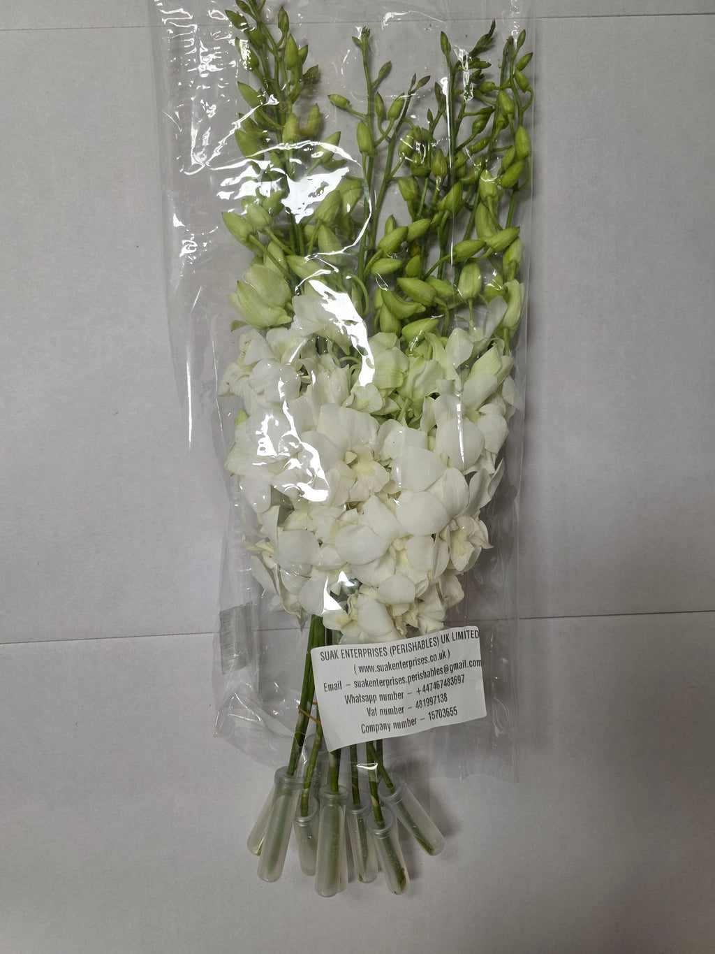 Farm Fresh Orchid Dendrobium White 45cm (Bunch of 10 stems, Length 55 cm)