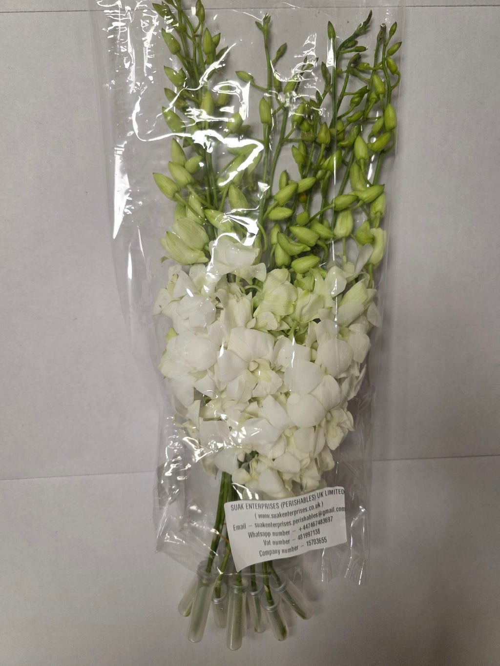 Farm Fresh Orchid Dendrobium White 45cm (Bunch of 10 stems, Length 55 cm)