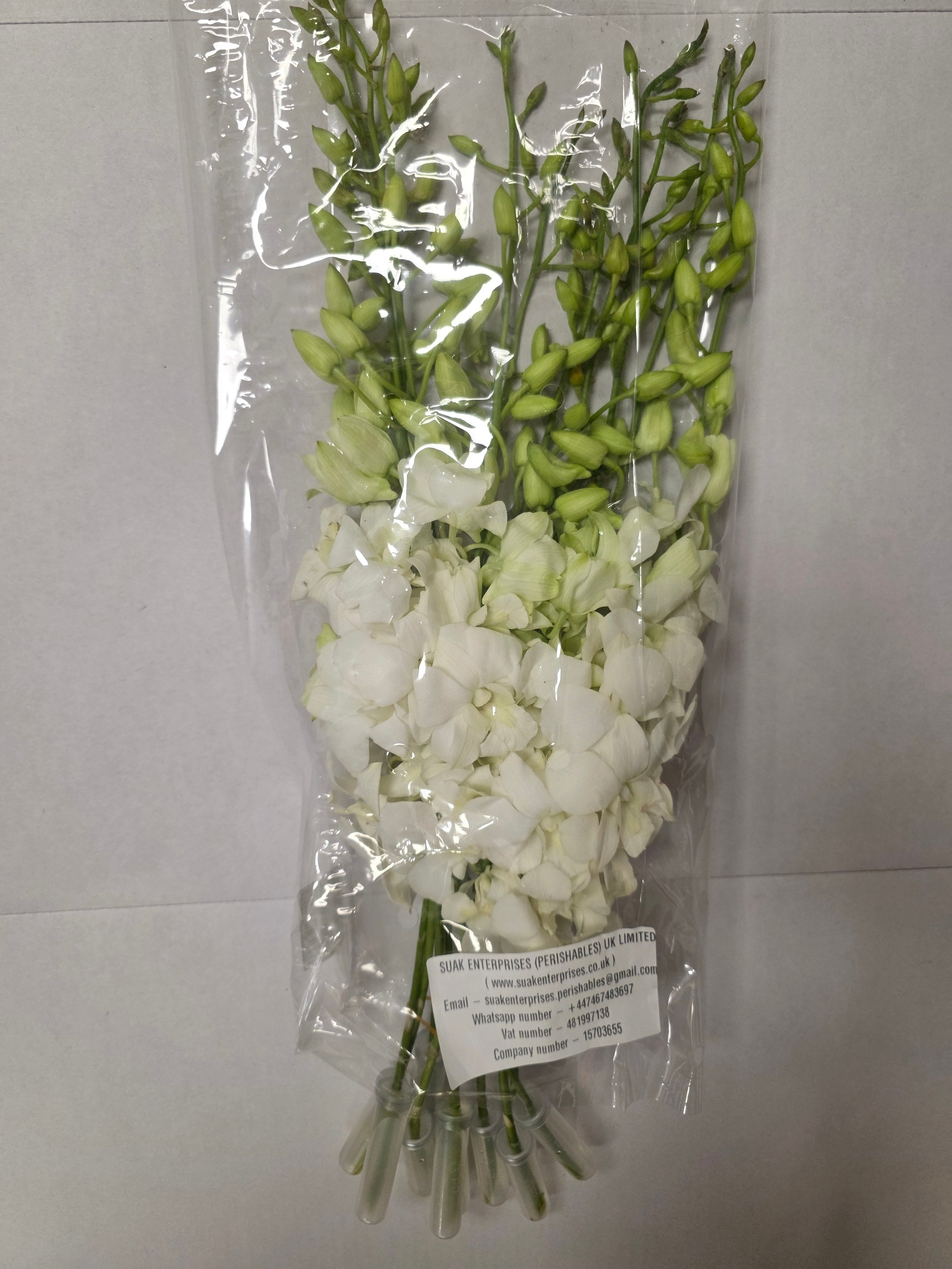 Farm Fresh Orchid Dendrobium White 45cm (Bunch of 10 stems, Length 55 cm)