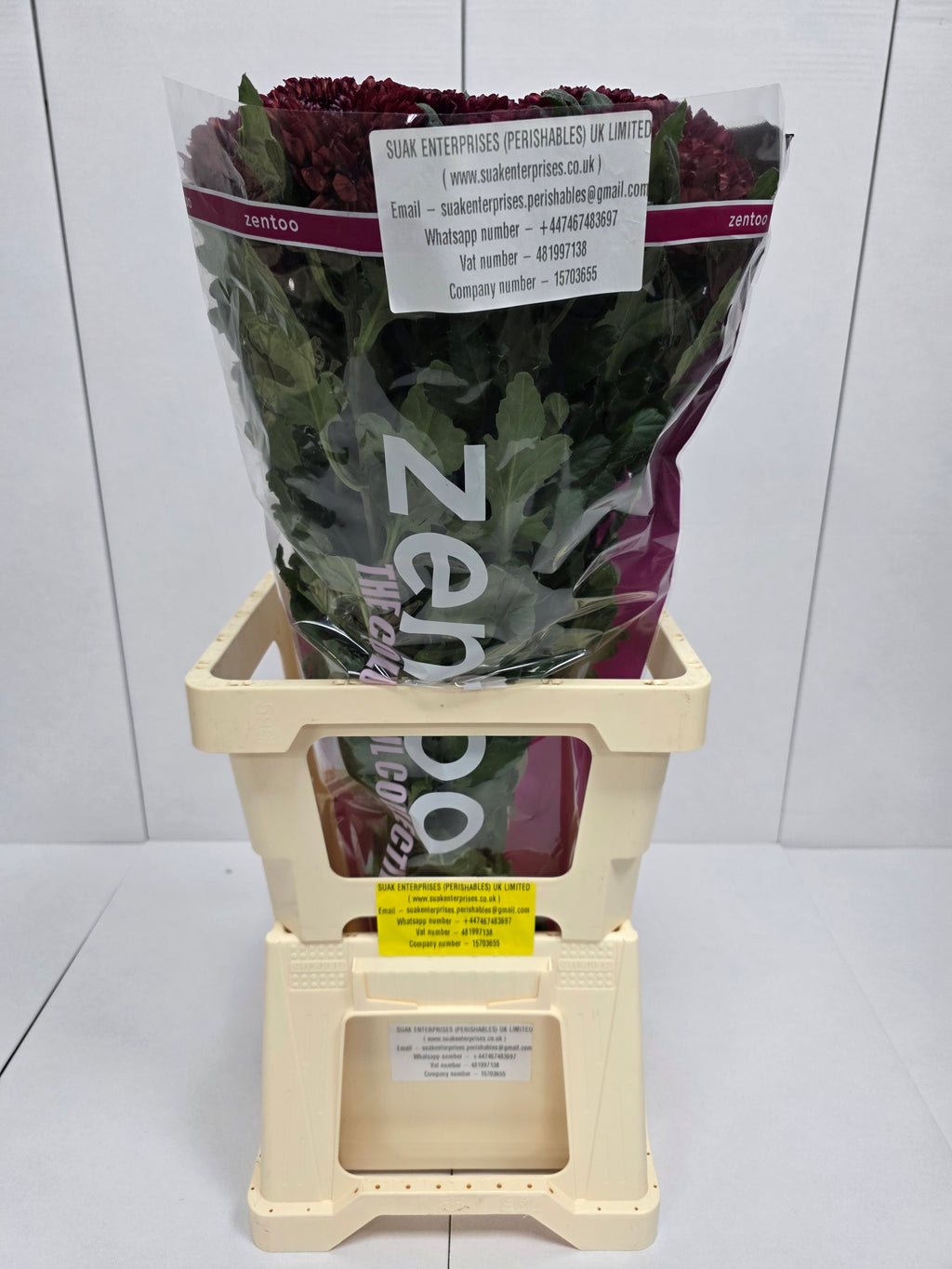 Farm Fresh Chrysanthemum G Parker Red(Bunch of 10 stems, Length 70cm)