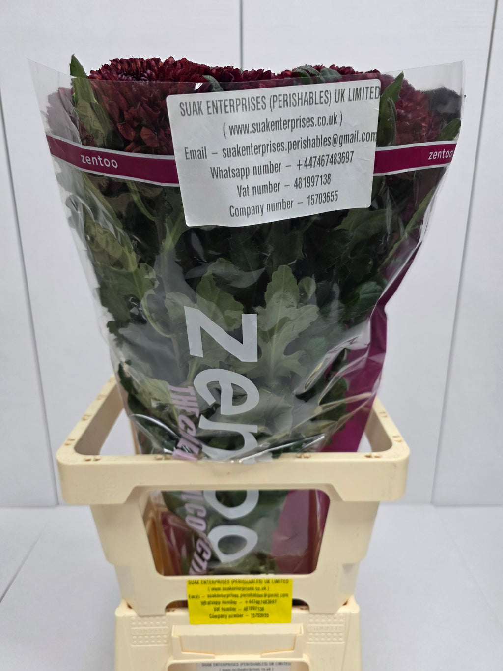 Farm Fresh Chrysanthemum G Parker Red(Bunch of 10 stems, Length 70cm)