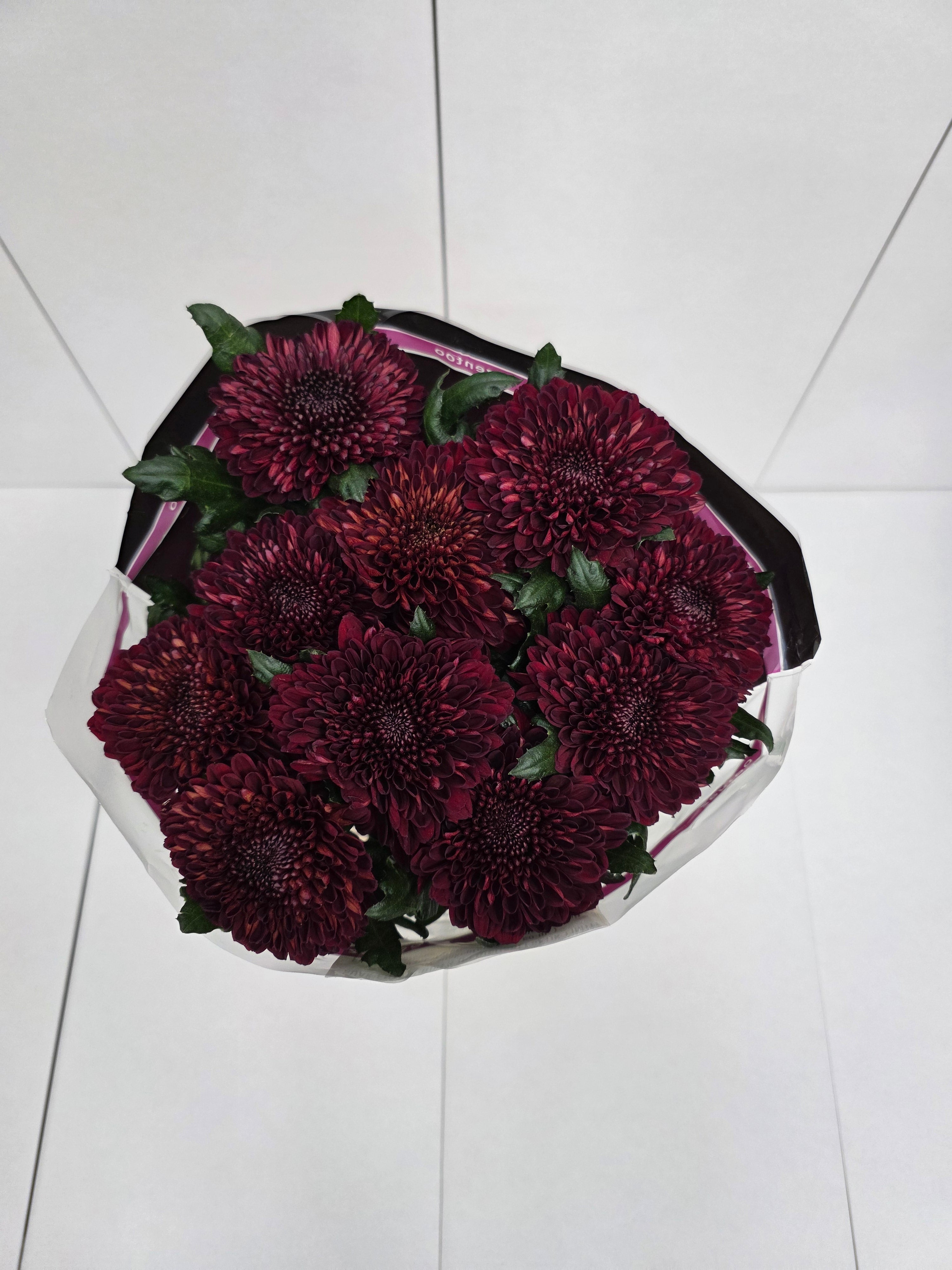 Farm Fresh Chrysanthemum G Parker Red(Bunch of 10 stems, Length 70cm)
