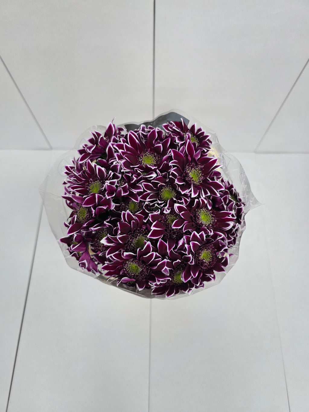 Farm Fresh Spray Chrysanthemum T Bolte (Bunch of 5 stems, Length 70cm) (PACK OF 2)