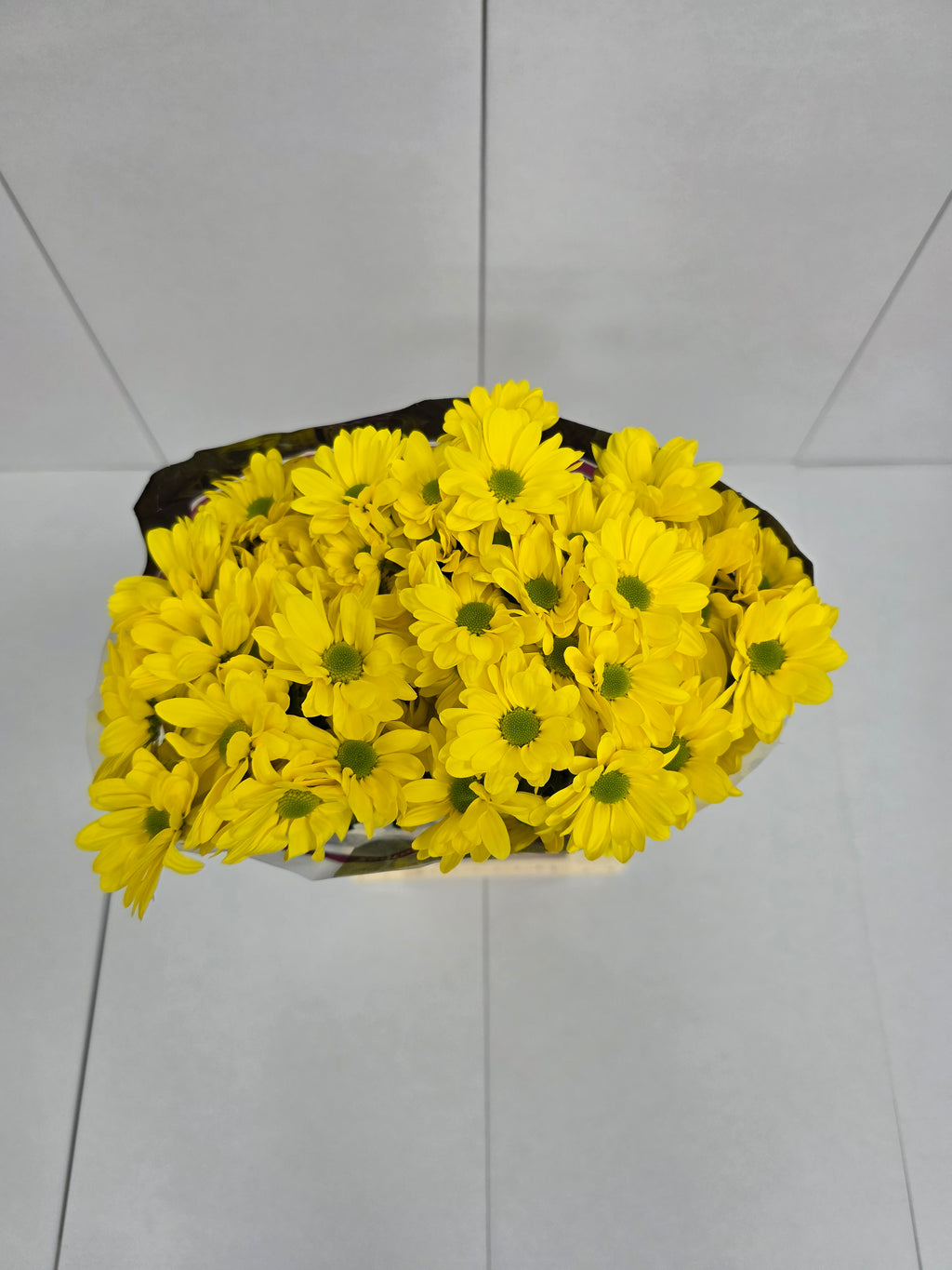 Farm Fresh Spray Chrysanthemum T Celebrate (Bunch of 5 stems, Length 70cm) (PACK OF 2)