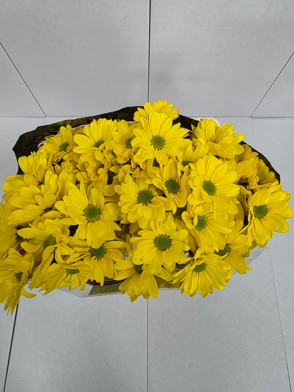 Farm Fresh Spray Chrysanthemum T Celebrate (Bunch of 5 stems, Length 70cm) (PACK OF 2)