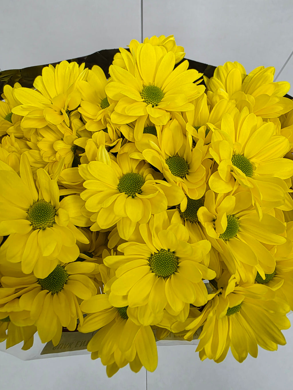 Farm Fresh Spray Chrysanthemum T Celebrate (Bunch of 5 stems, Length 70cm) (PACK OF 2)