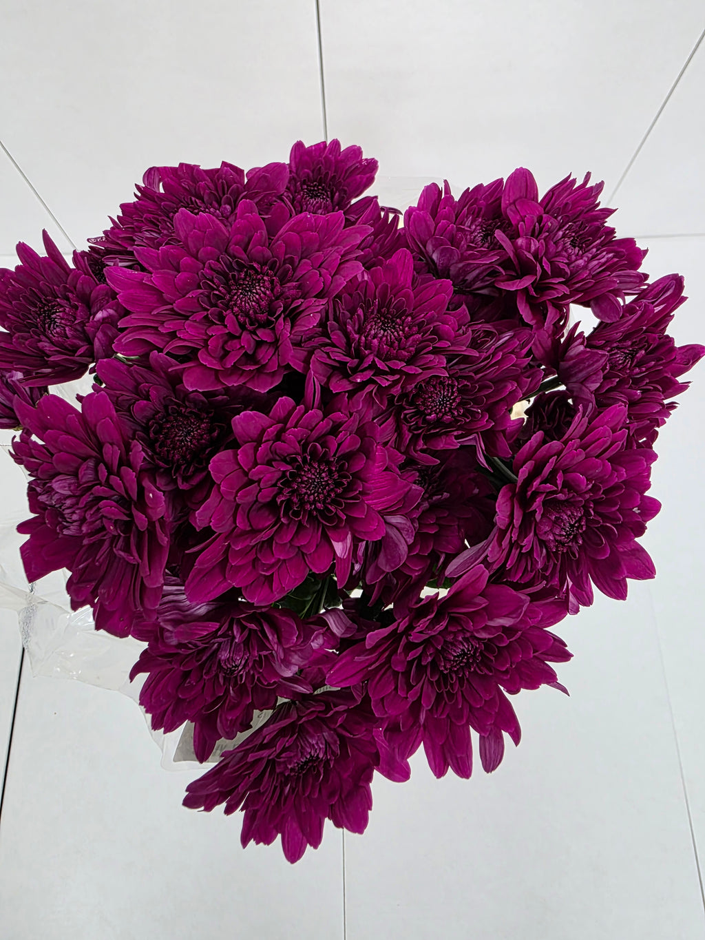 Farm Fresh Spray Chrysanthemum T Lamira (Bunch of 5 stems, Length 70cm) (PACK OF 2)