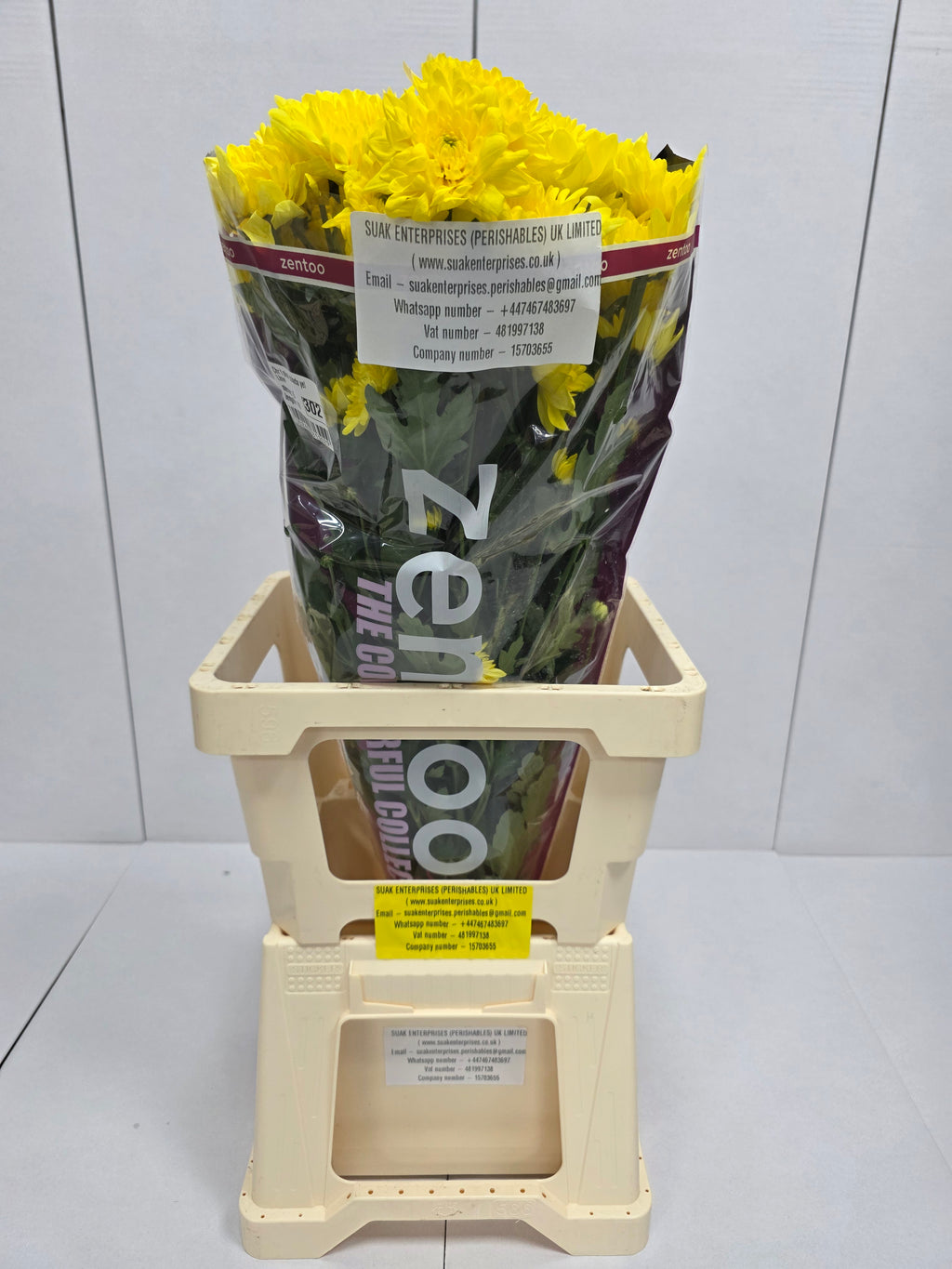 Farm Fresh Spray Chrysanthemum T Pina Colada Yellow (Bunch of 5 stems, Length 70cm) (PACK OF 2)