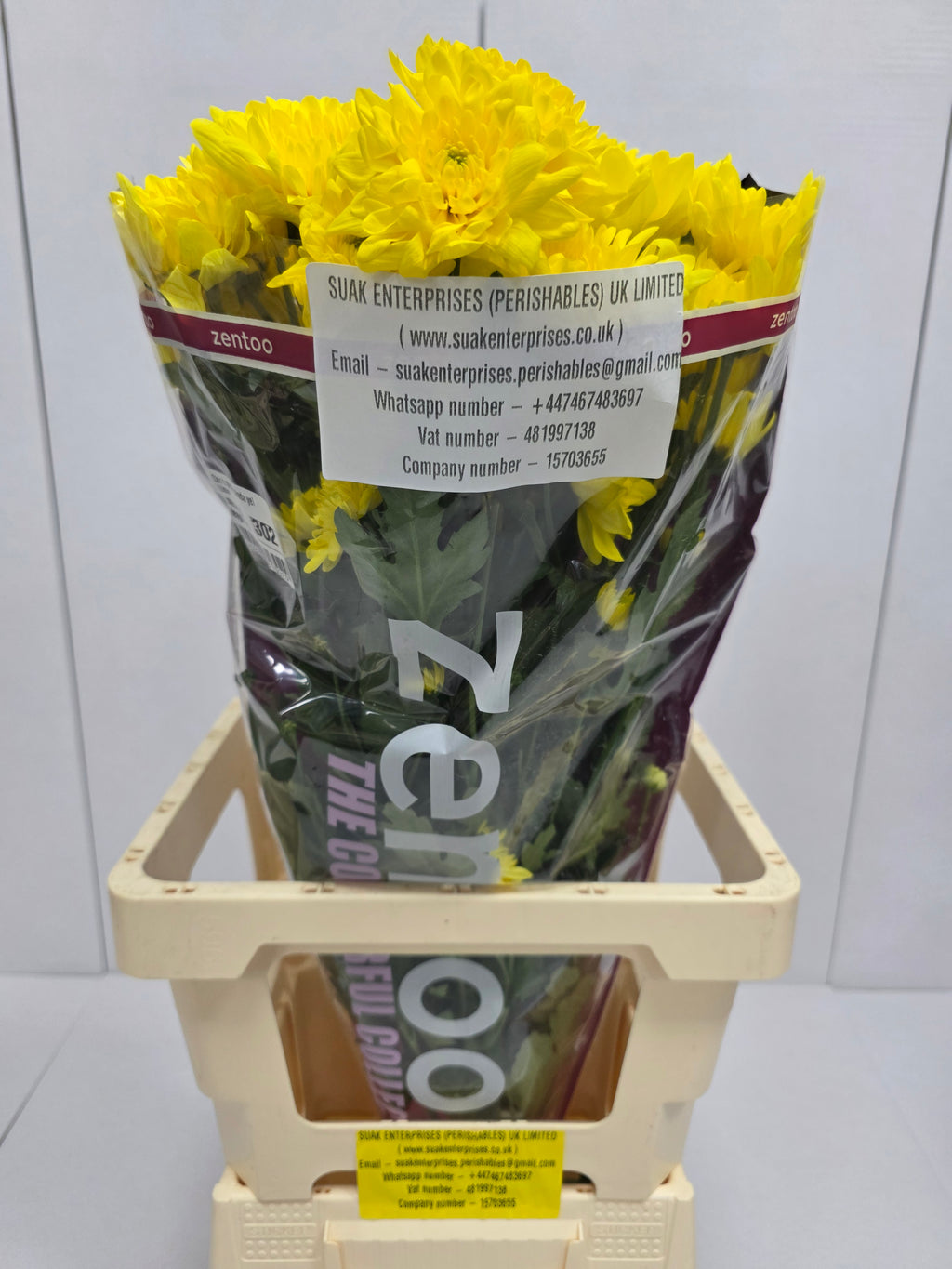 Farm Fresh Spray Chrysanthemum T Pina Colada Yellow (Bunch of 5 stems, Length 70cm) (PACK OF 2)