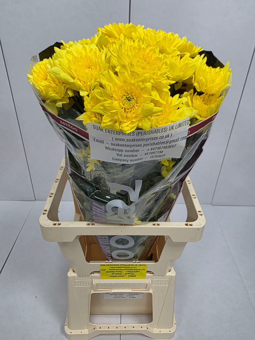 Farm Fresh Spray Chrysanthemum T Pina Colada Yellow (Bunch of 5 stems, Length 70cm) (PACK OF 2)