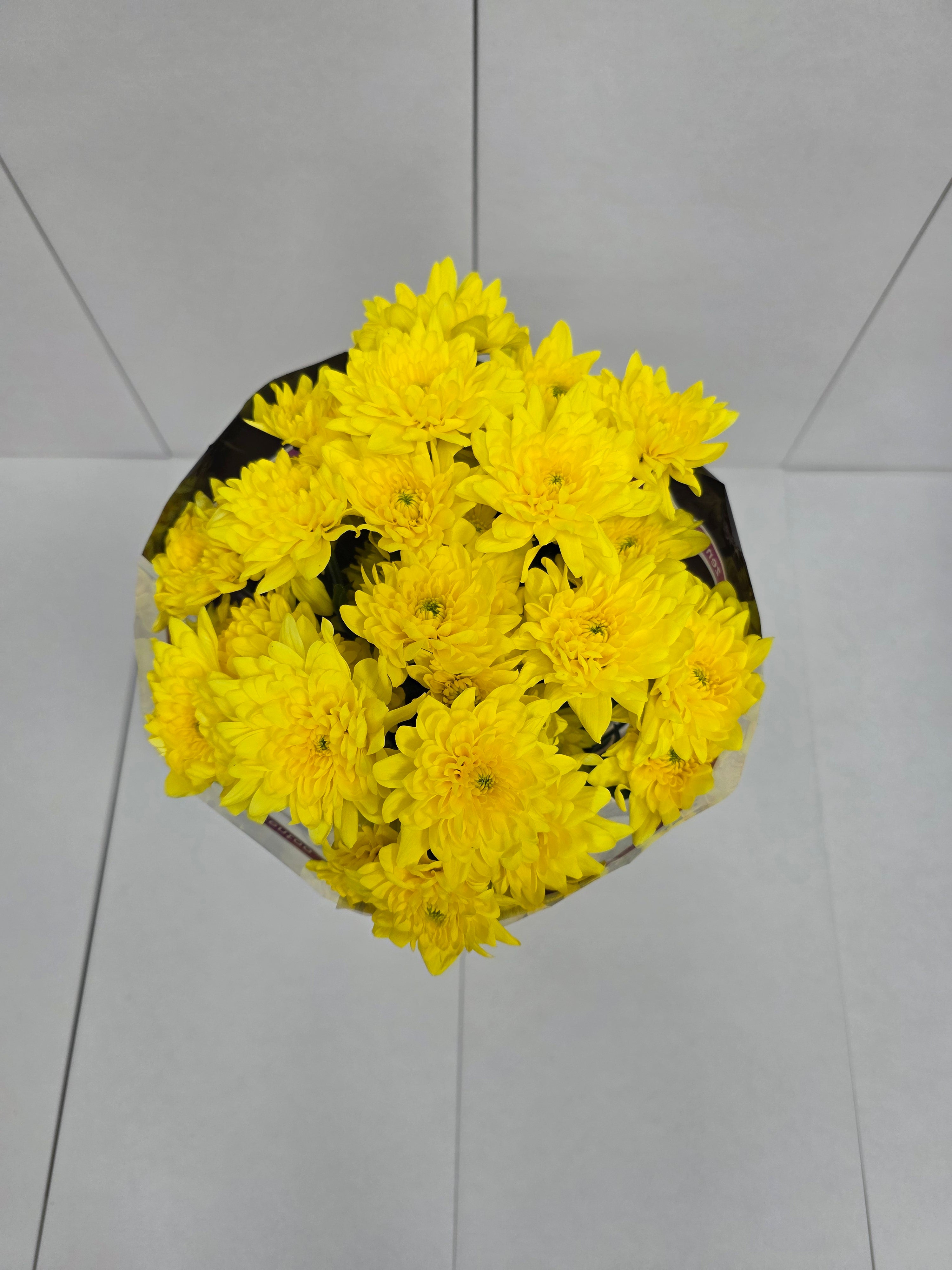 Farm Fresh Spray Chrysanthemum T Pina Colada Yellow (Bunch of 5 stems, Length 70cm) (PACK OF 2)