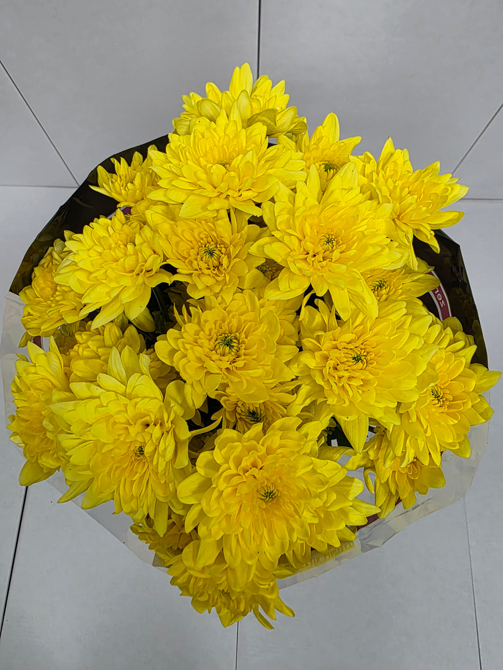 Farm Fresh Spray Chrysanthemum T Pina Colada Yellow (Bunch of 5 stems, Length 70cm) (PACK OF 2)