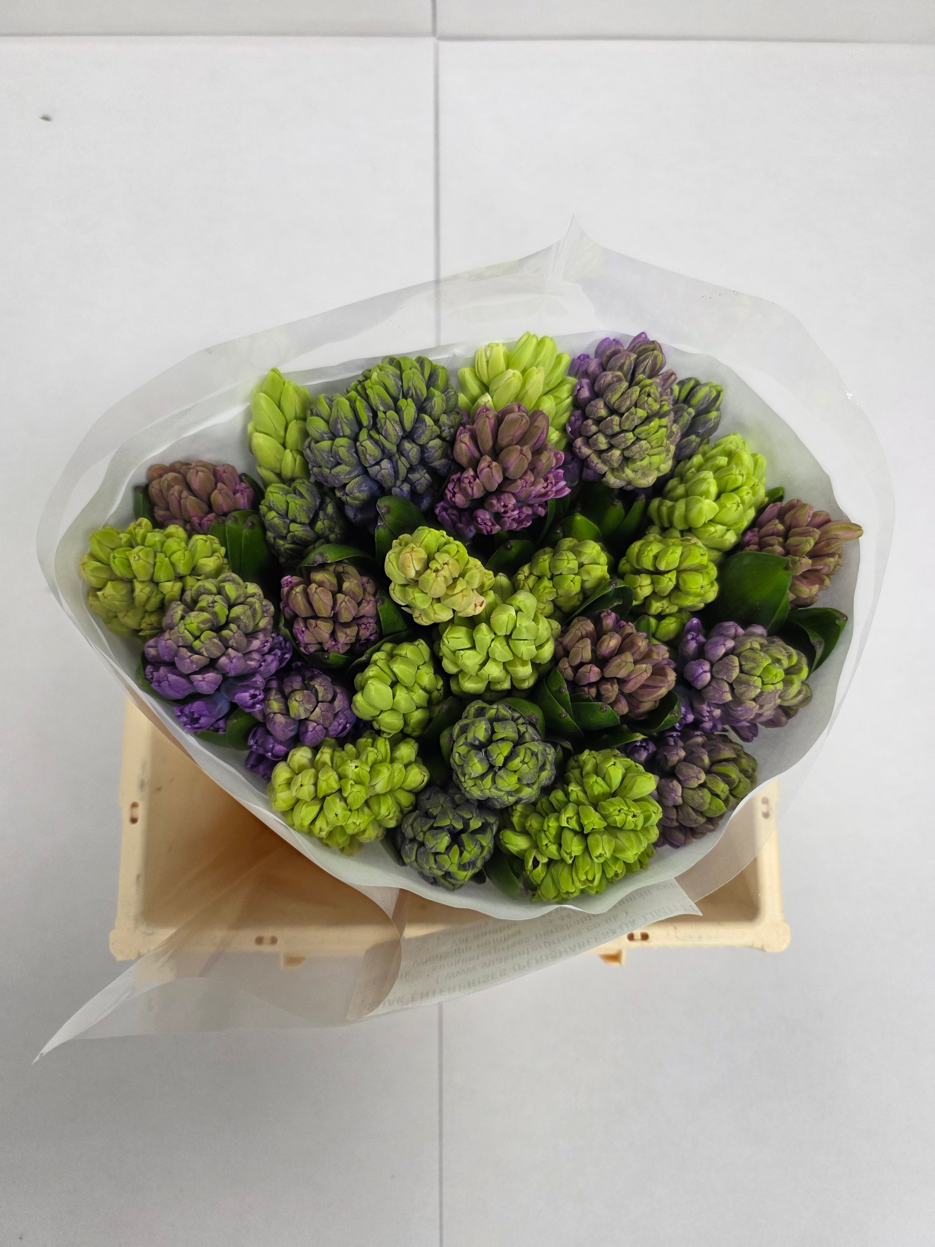 Farm Fresh Hyacinthus Orientalis Mixed Ex(Bunch of 25stems, Length 30cm)