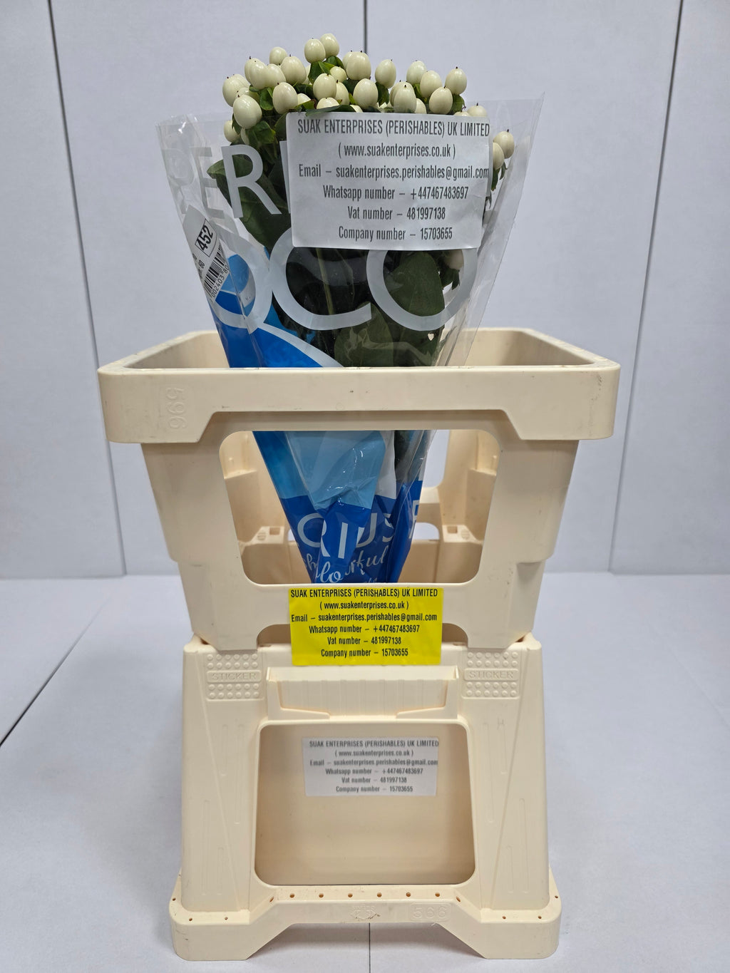 Farm Fresh Hypercium Coco Uno(Bunch of 10stems, Length 60cm)