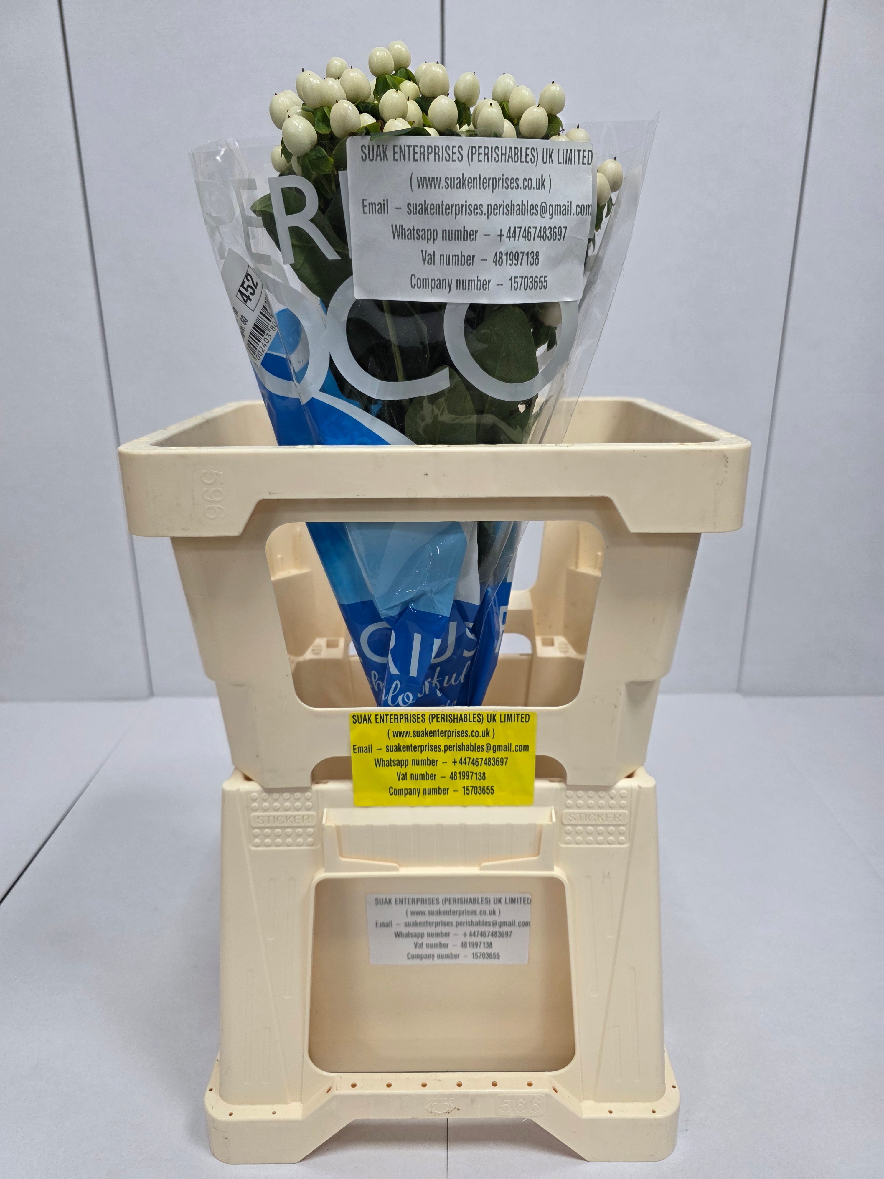 Farm Fresh Hypercium Coco Uno(Bunch of 10stems, Length 60cm)