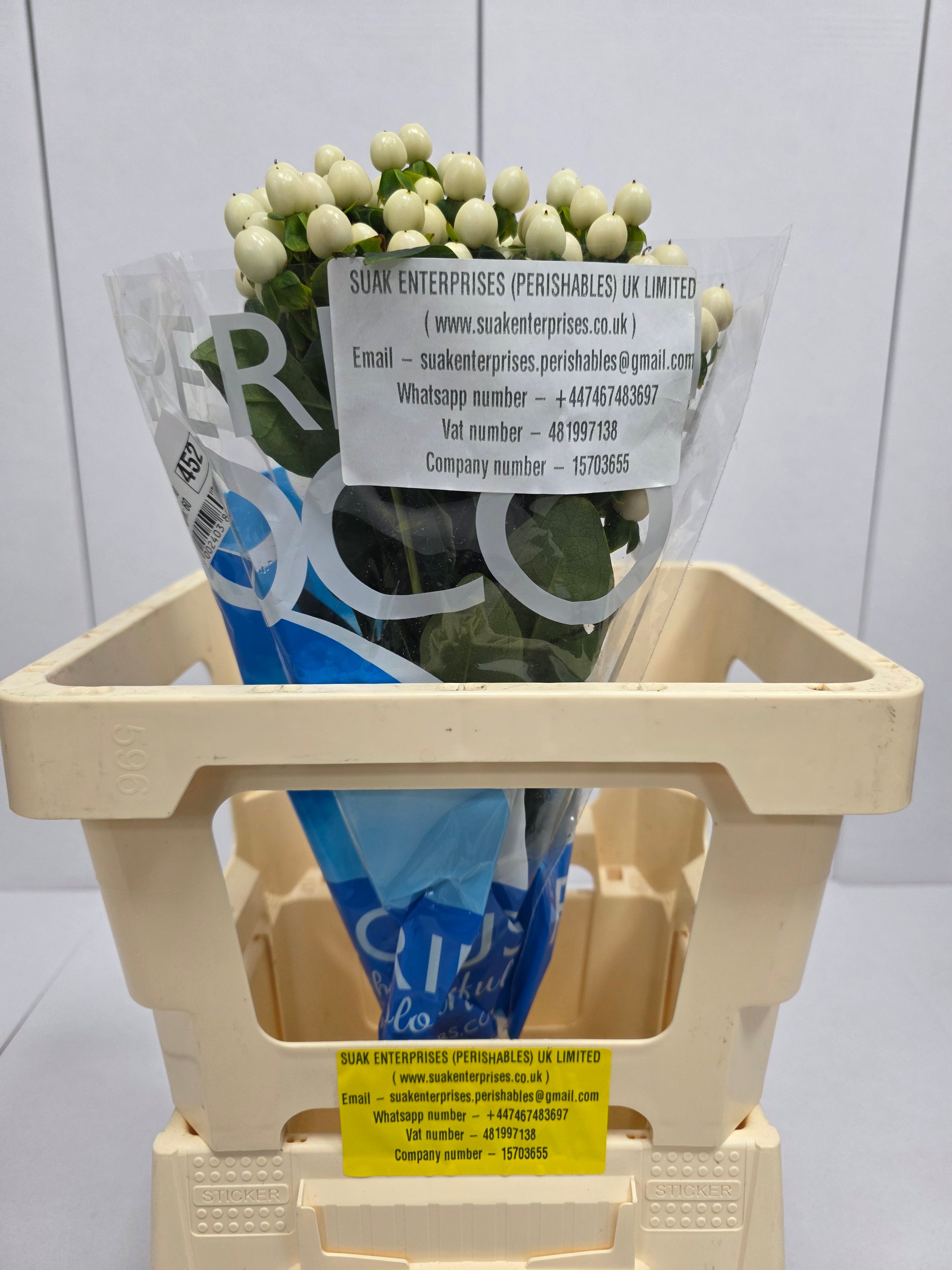 Farm Fresh Hypercium Coco Uno(Bunch of 10stems, Length 60cm)