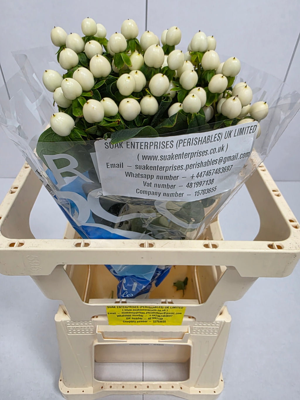 Farm Fresh Hypercium Coco Uno(Bunch of 10stems, Length 60cm)