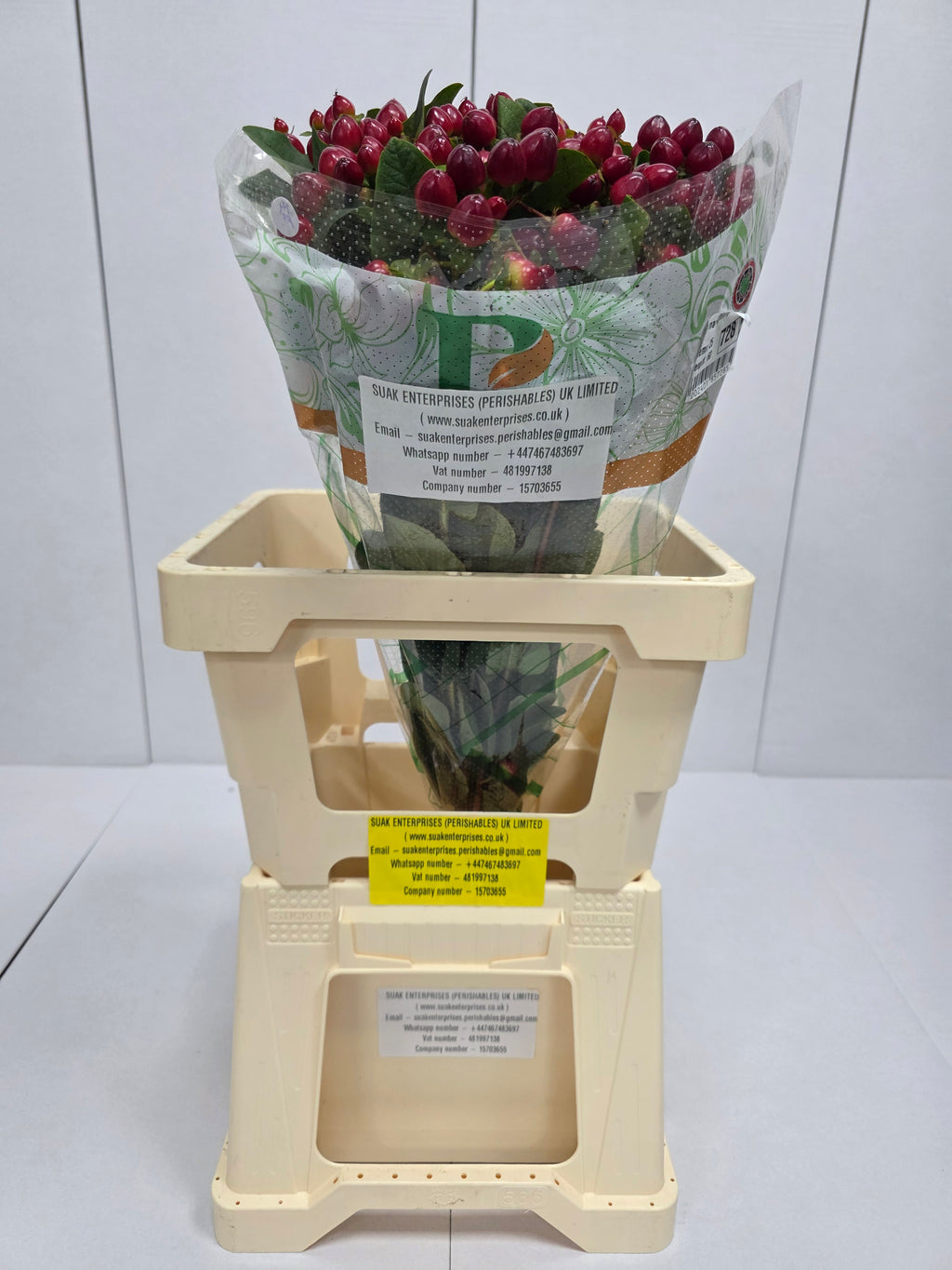 Farm Fresh Hypercium Mag Lightning(Bunch of 25stems, Length 60cm)