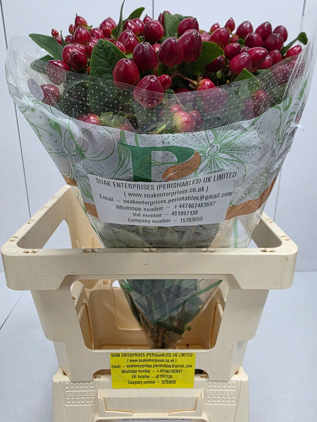 Farm Fresh Hypercium Mag Lightning(Bunch of 25stems, Length 60cm)