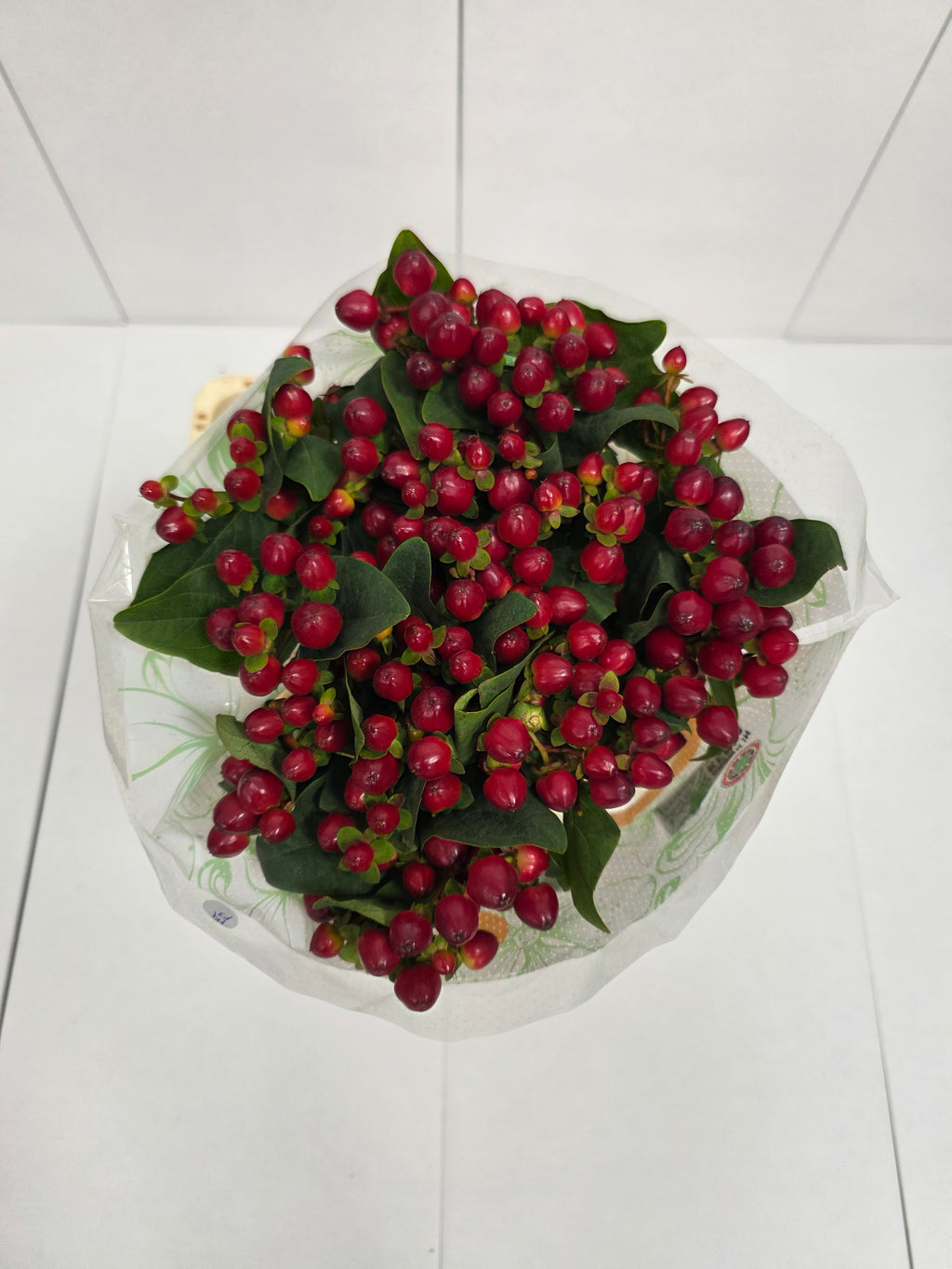 Farm Fresh Hypercium Mag Lightning(Bunch of 25stems, Length 60cm)