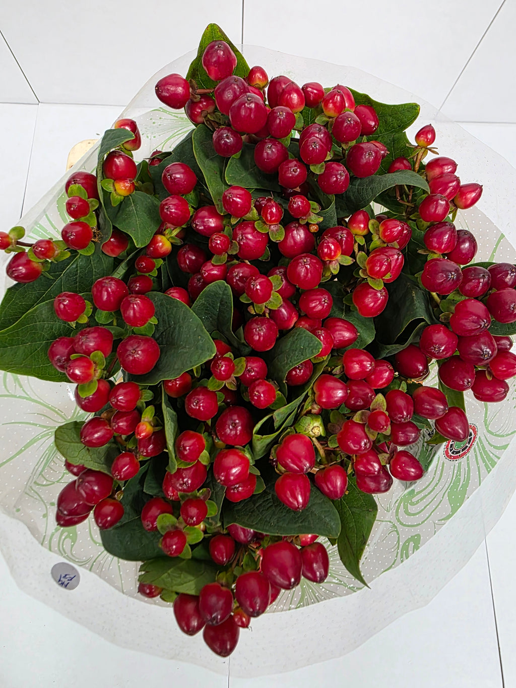 Farm Fresh Hypercium Mag Lightning(Bunch of 25stems, Length 60cm)