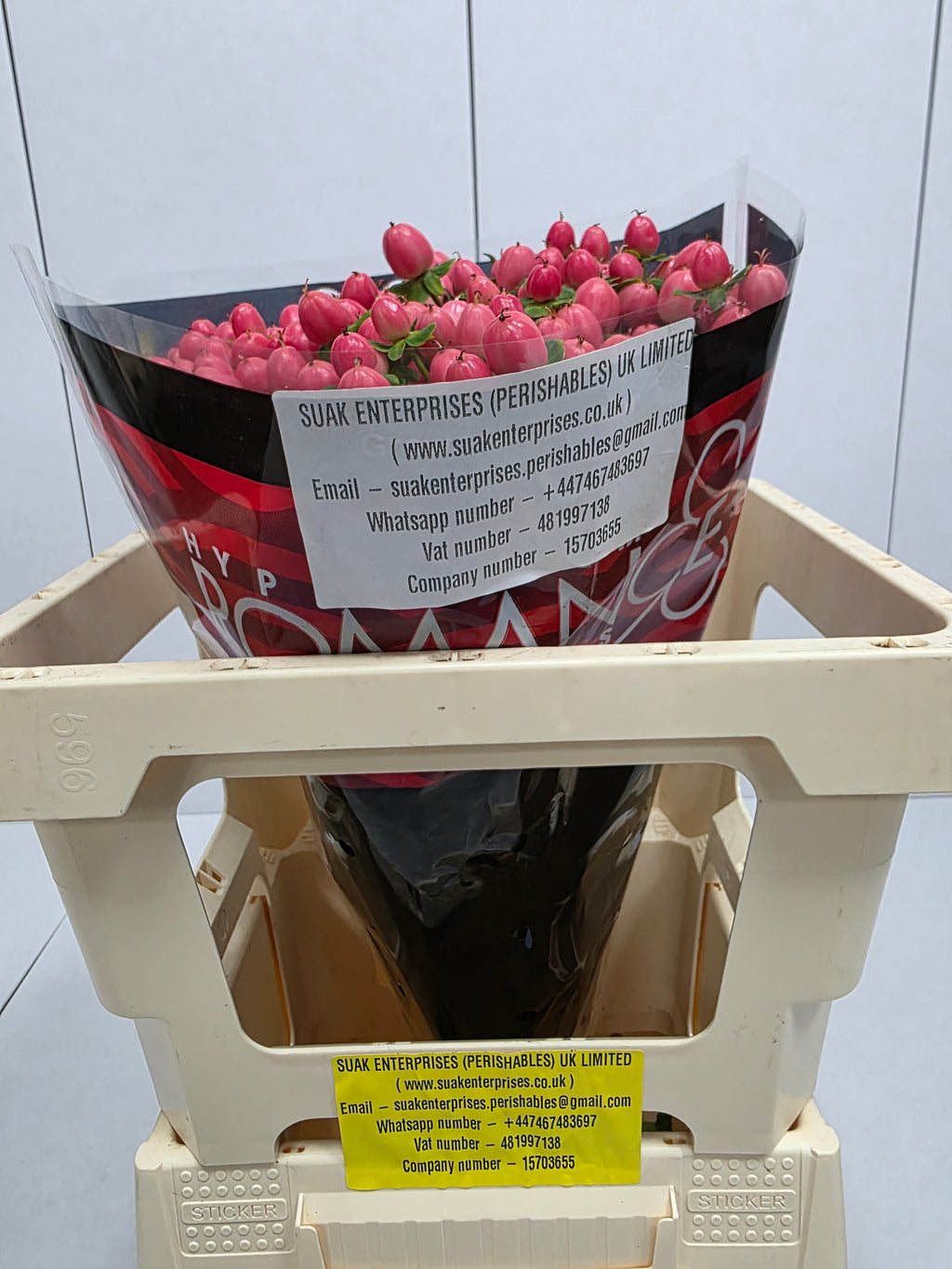 Farm Fresh Hypercium Sweet Romance(Bunch of 25stems, Length 50cm)