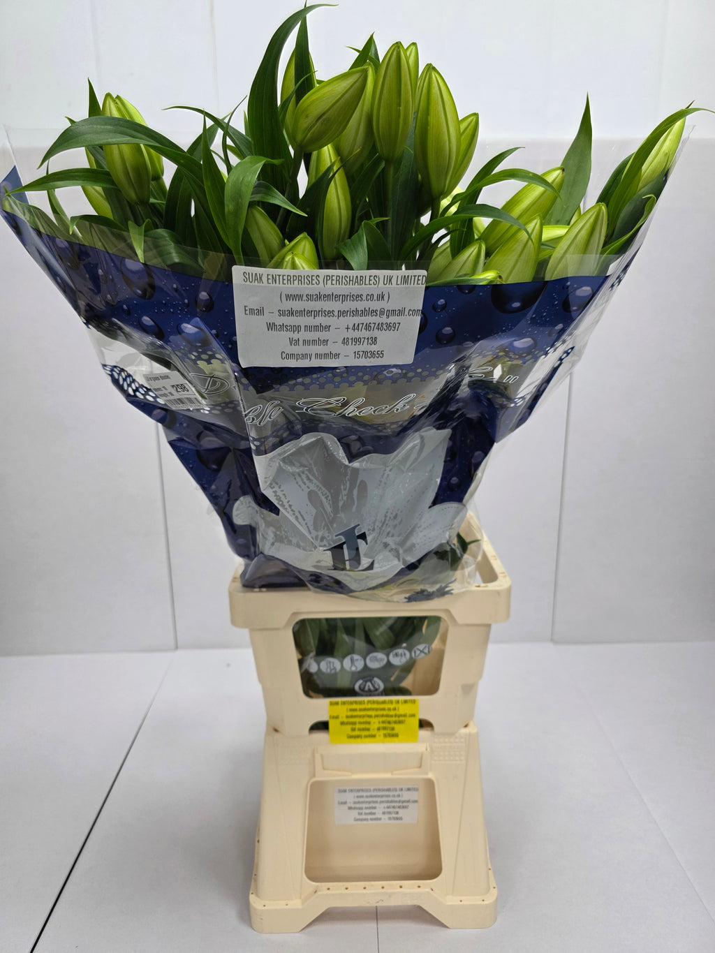 Farm Fresh Lilium Oriental Guapa (Double) 4+1 (Bunch of 10stems,Length 90cm)