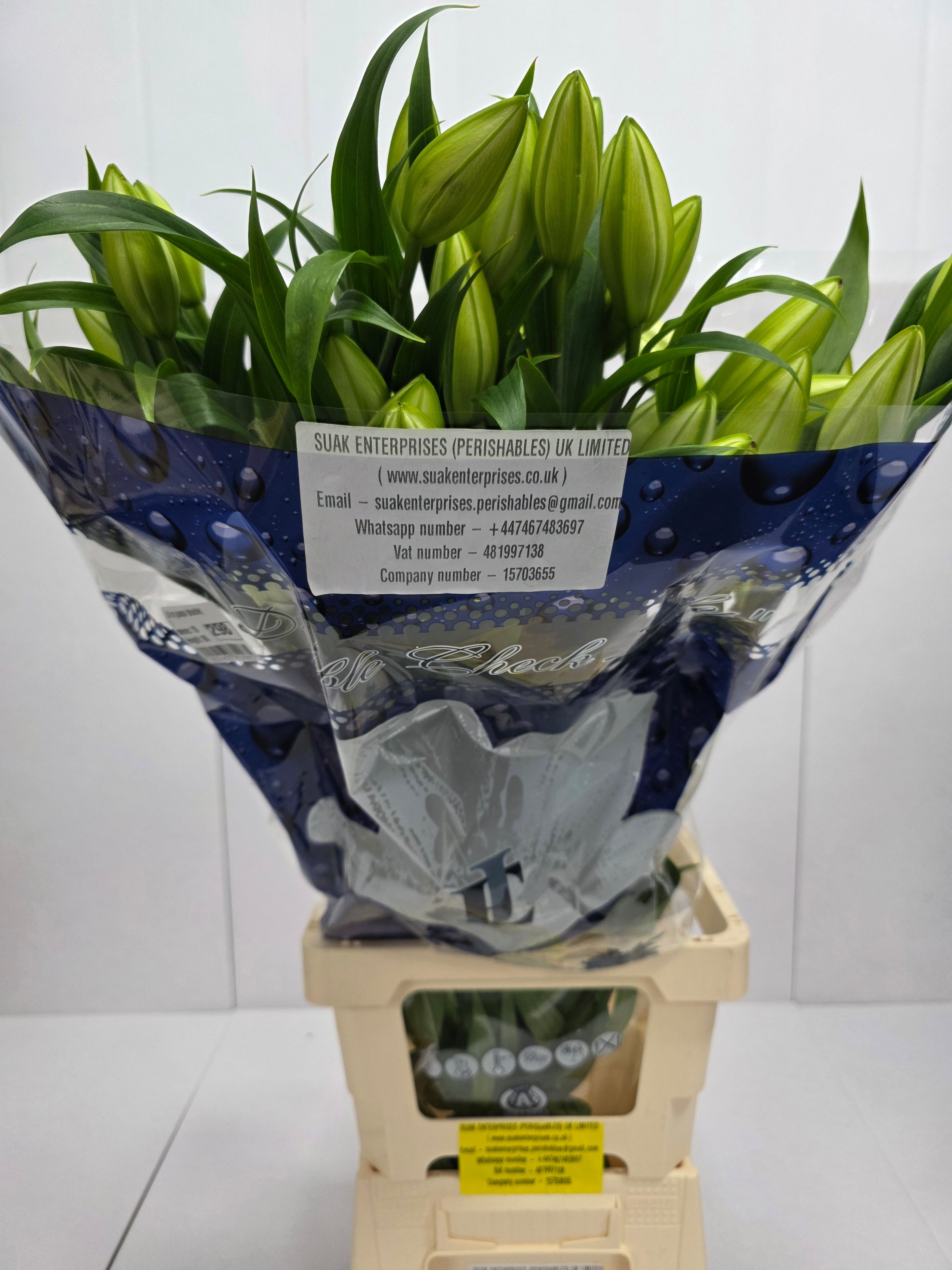 Farm Fresh Lilium Oriental Guapa (Double) 4+1 (Bunch of 10stems,Length 90cm)